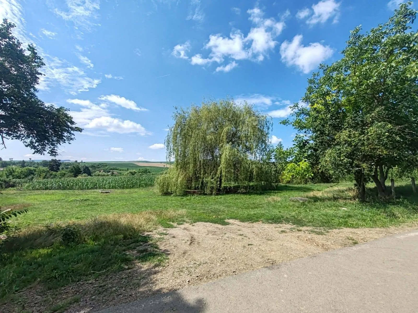 Casă la țară 4 camere de vânzare în Miheșu de Câmpie - MS — fotografia 3