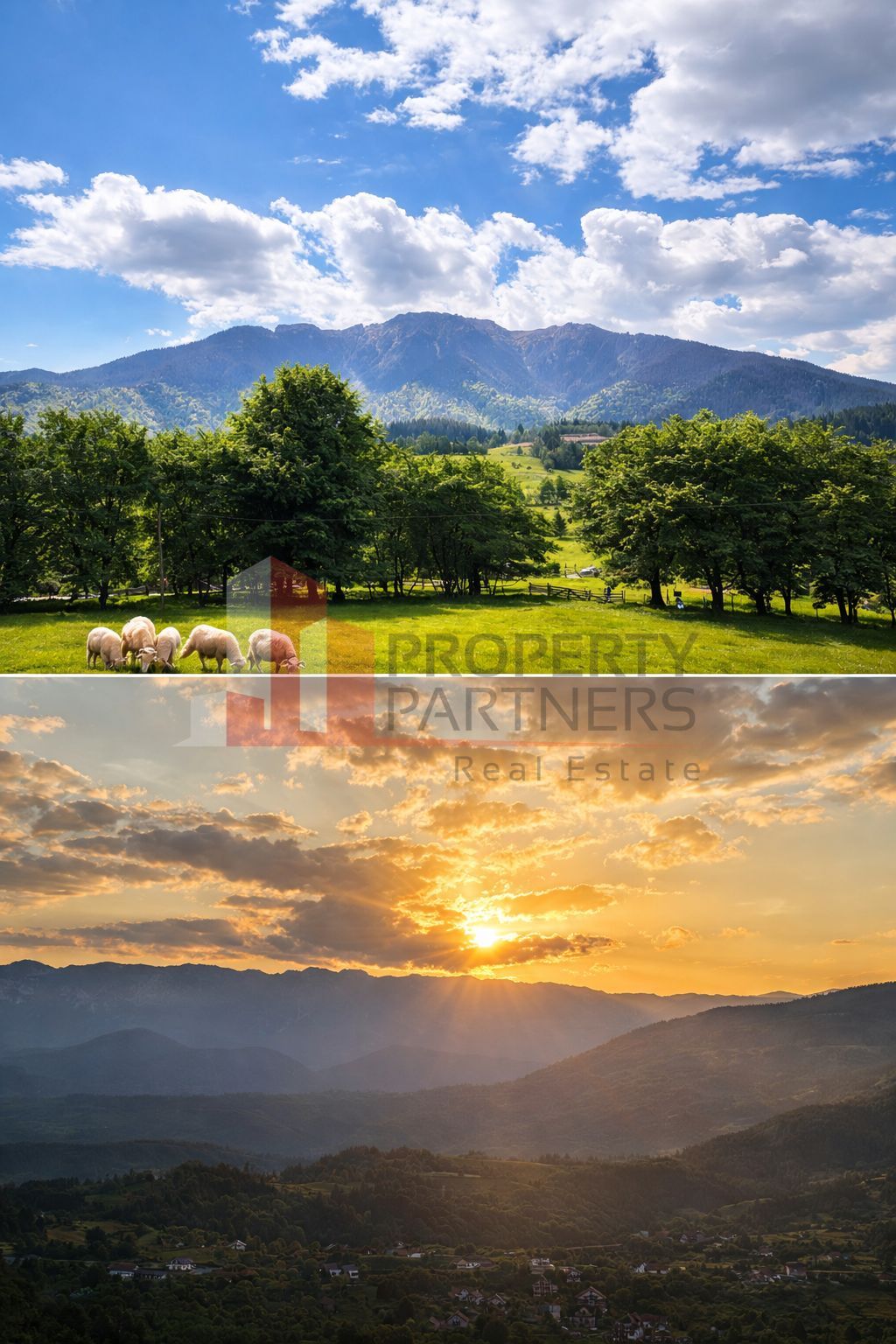 Teren cu priveliște spectaculoasă în Bran – Sohodol — fotografia 5