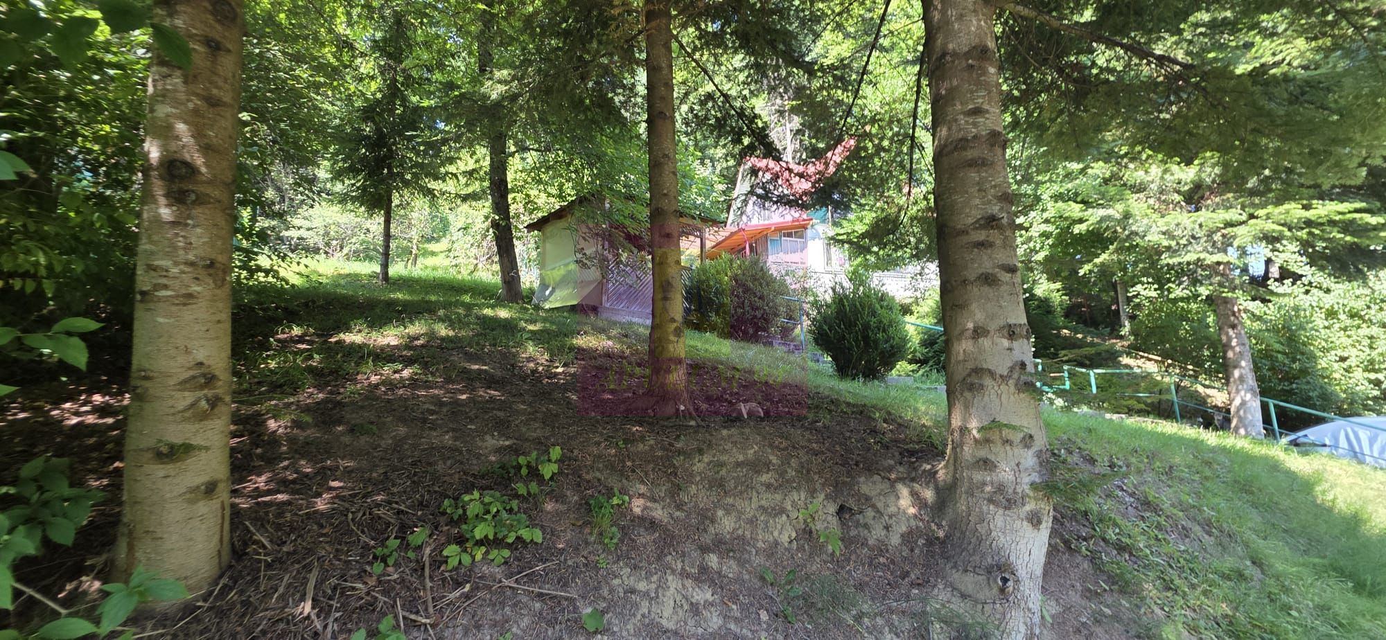 Teren intravilan 979 mp Sinaia, Furnica — fotografia 5