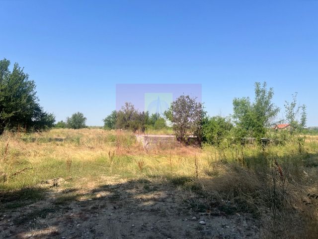 Teren Clinceni- Ordoreanu- langa Dig. — fotografia 3