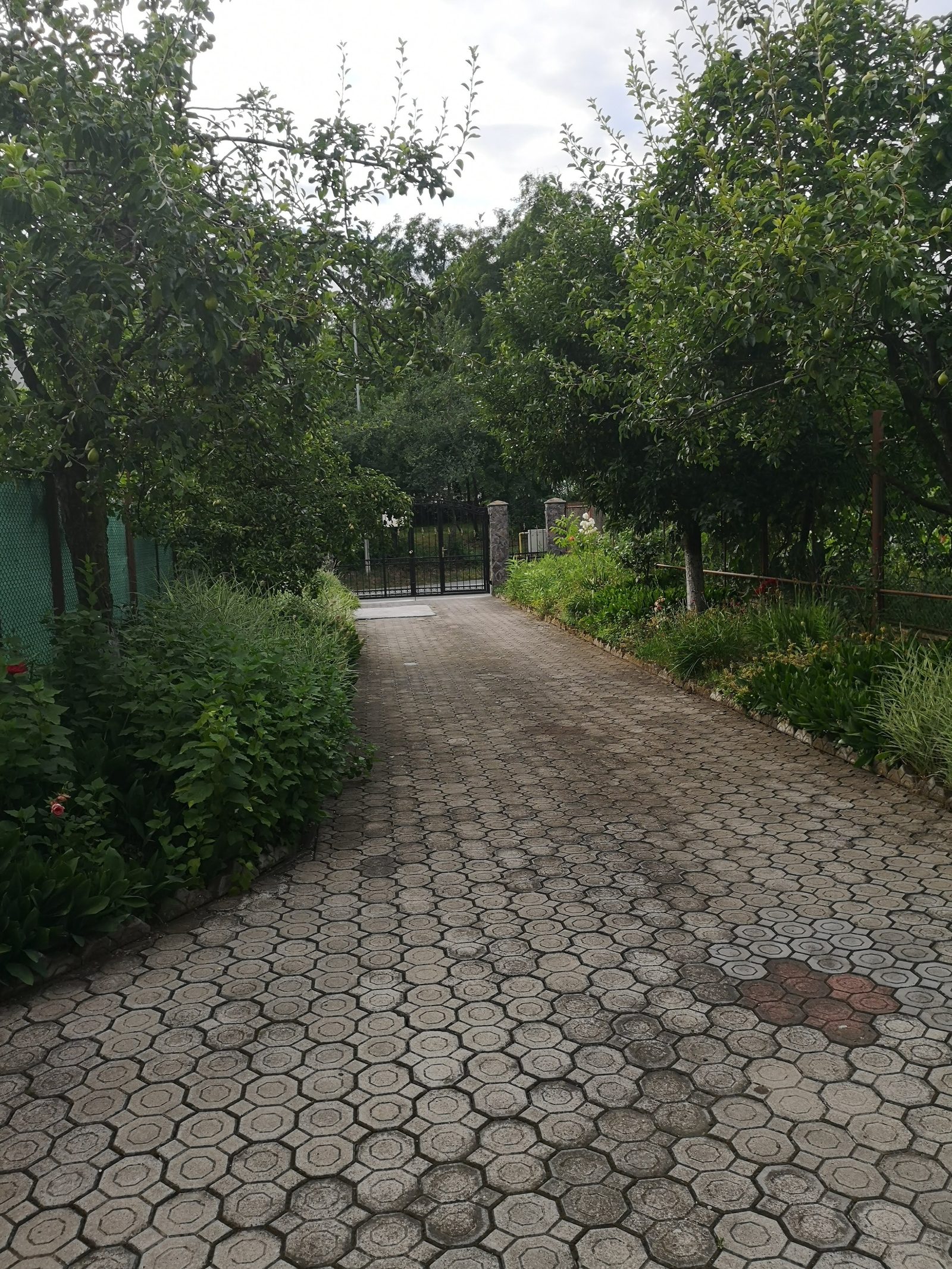 Două case în aceeași curte — 228 mp utili, 1.000 mp teren, Calea Sighișoarei — fotografia 14