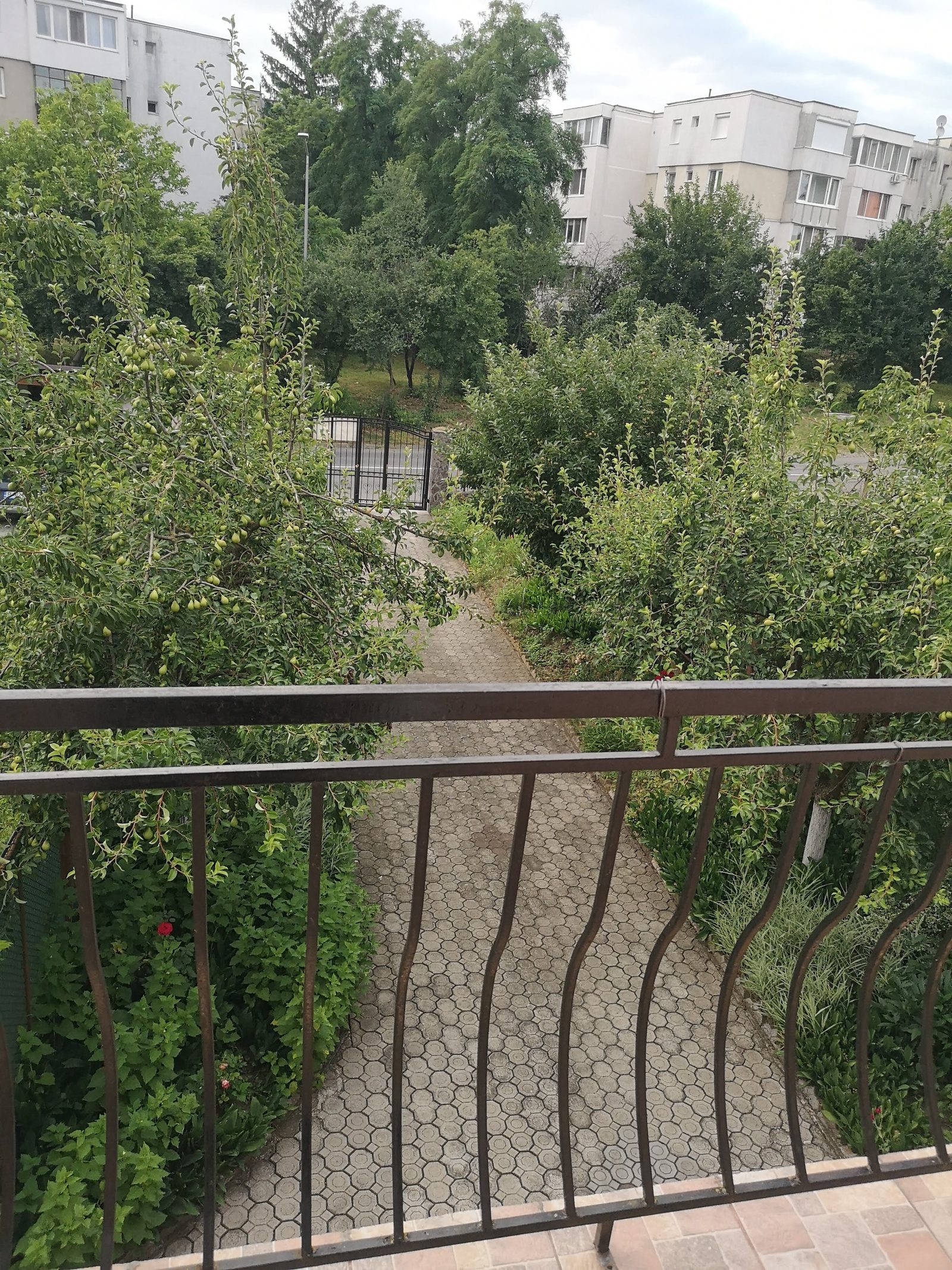 Două case în aceeași curte — 228 mp utili, 1.000 mp teren, Calea Sighișoarei — fotografia 33