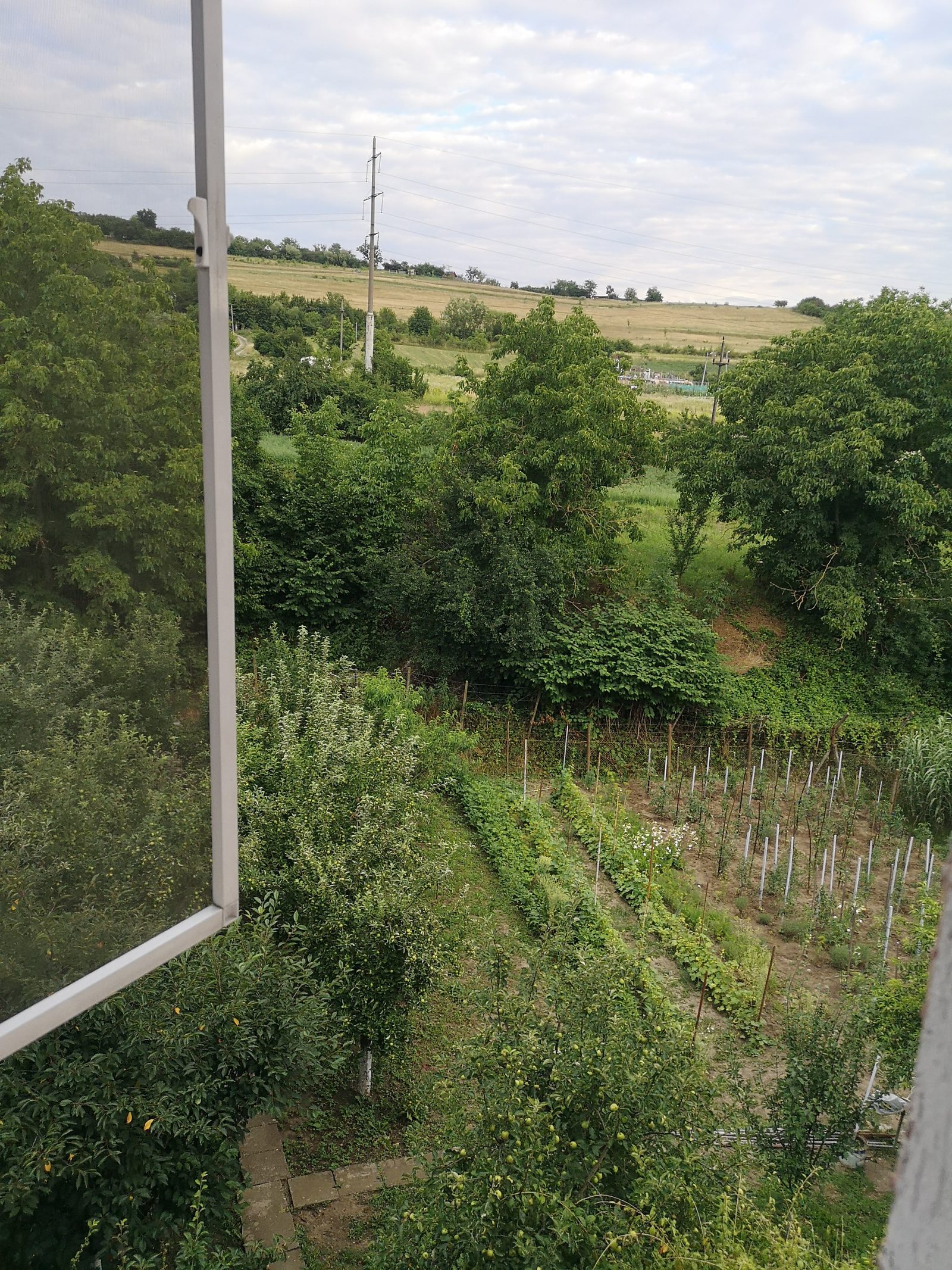 Două case în aceeași curte — 228 mp utili, 1.000 mp teren, Calea Sighișoarei — fotografia 35