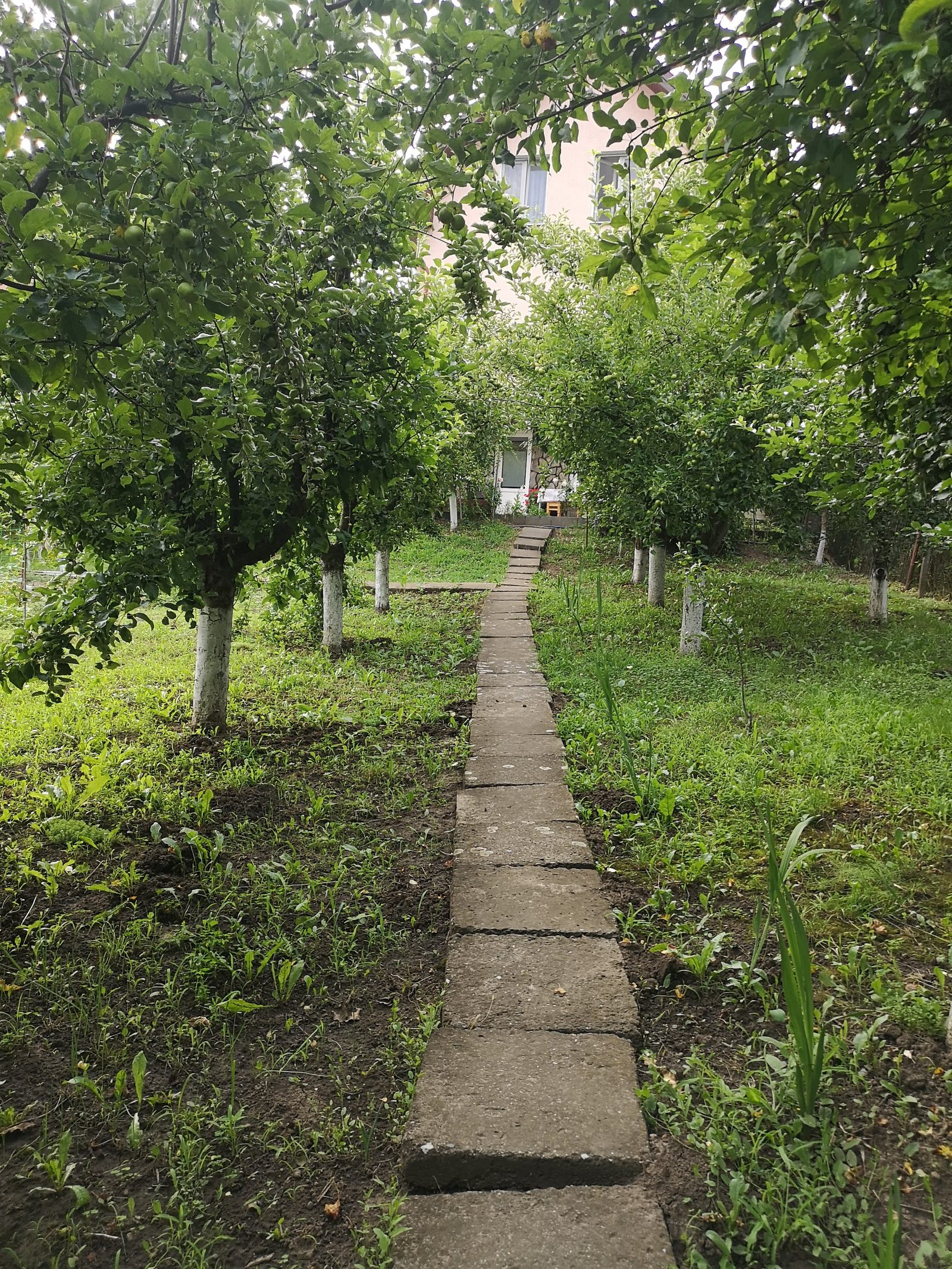 Două case în aceeași curte — 228 mp utili, 1.000 mp teren, Calea Sighișoarei — fotografia 37
