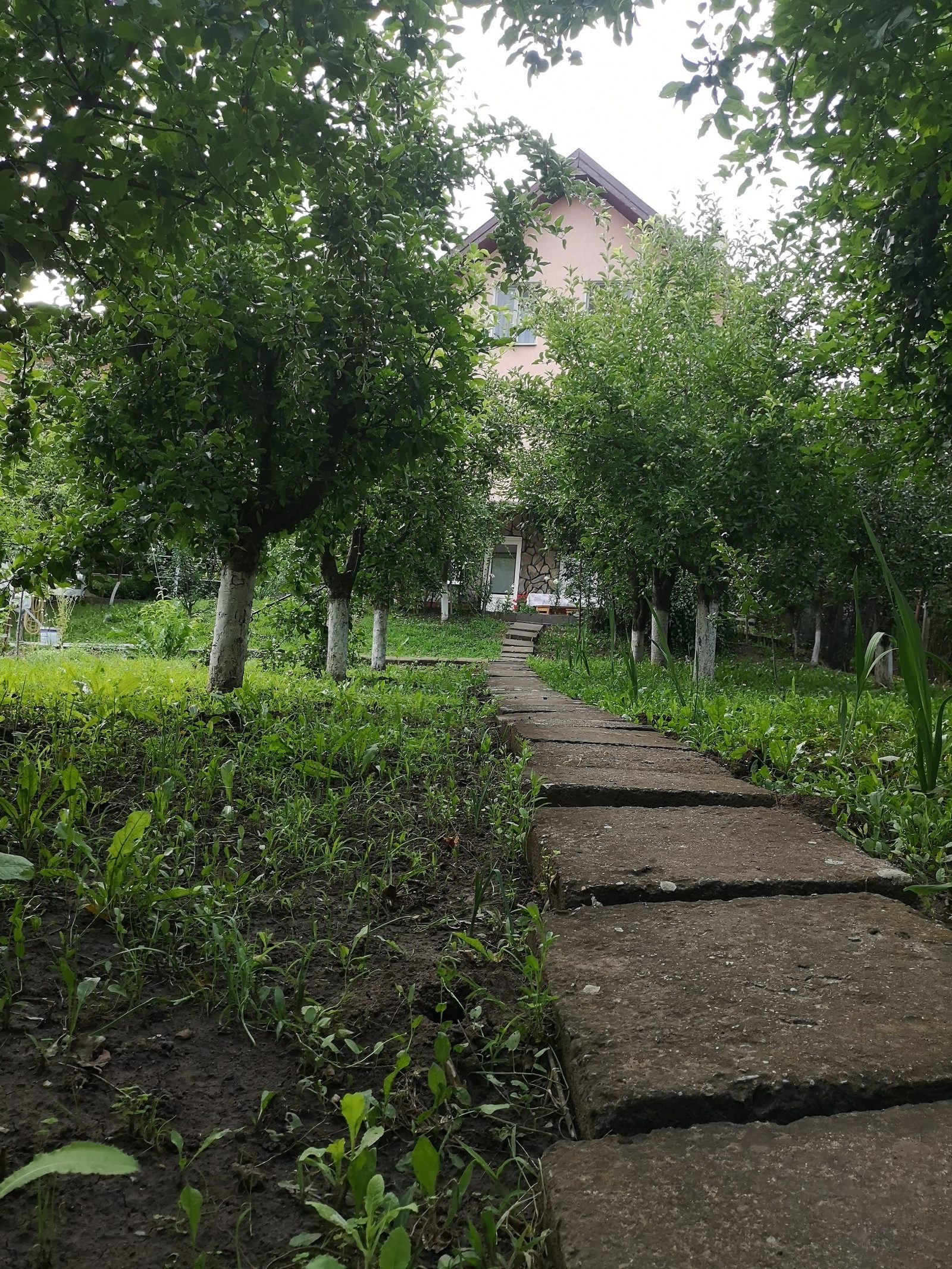 Două case în aceeași curte — 228 mp utili, 1.000 mp teren, Calea Sighișoarei — fotografia 39