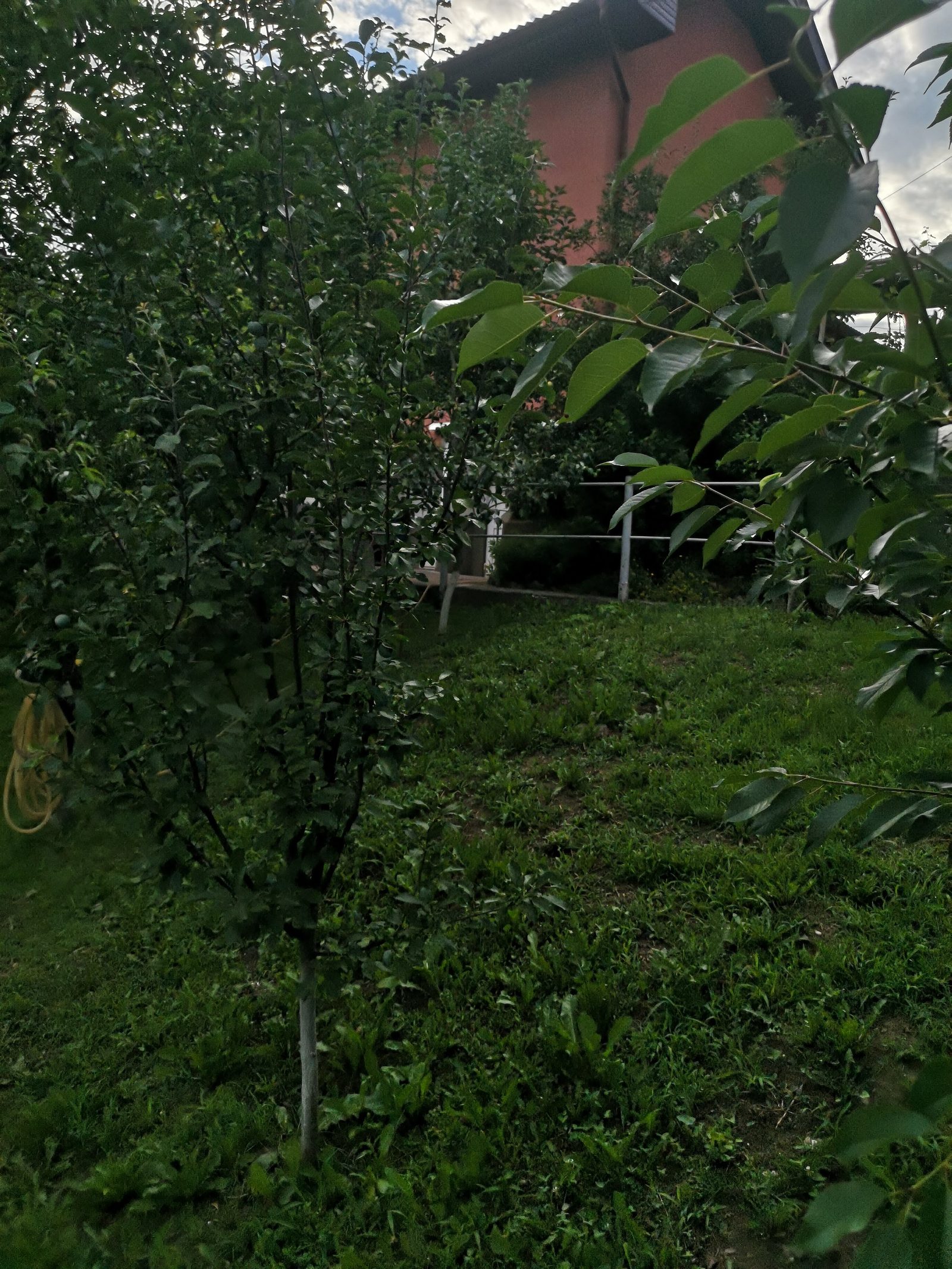 Două case în aceeași curte — 228 mp utili, 1.000 mp teren, Calea Sighișoarei — fotografia 42