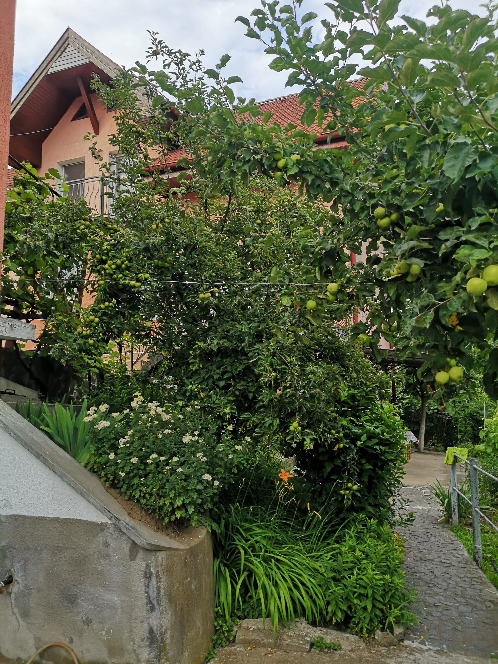 Două case în aceeași curte — 228 mp utili, 1.000 mp teren, Calea Sighișoarei — fotografia 50