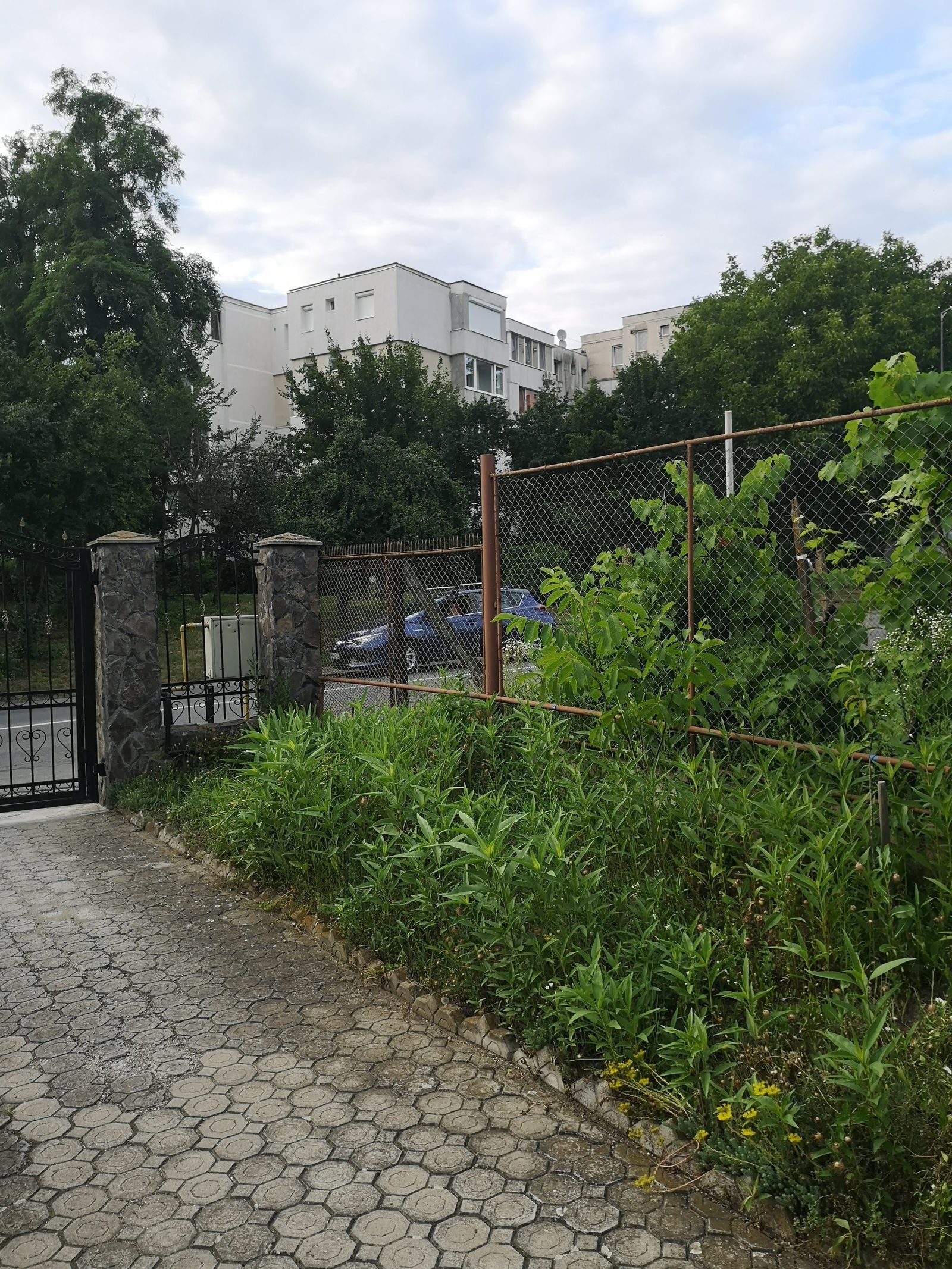 Două case în aceeași curte — 228 mp utili, 1.000 mp teren, Calea Sighișoarei — fotografia 58