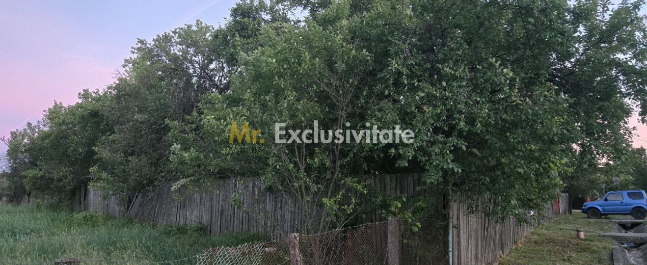 Casă cu 7.769 mp teren și pădure | Budieni | 53.000€ — fotografia 2