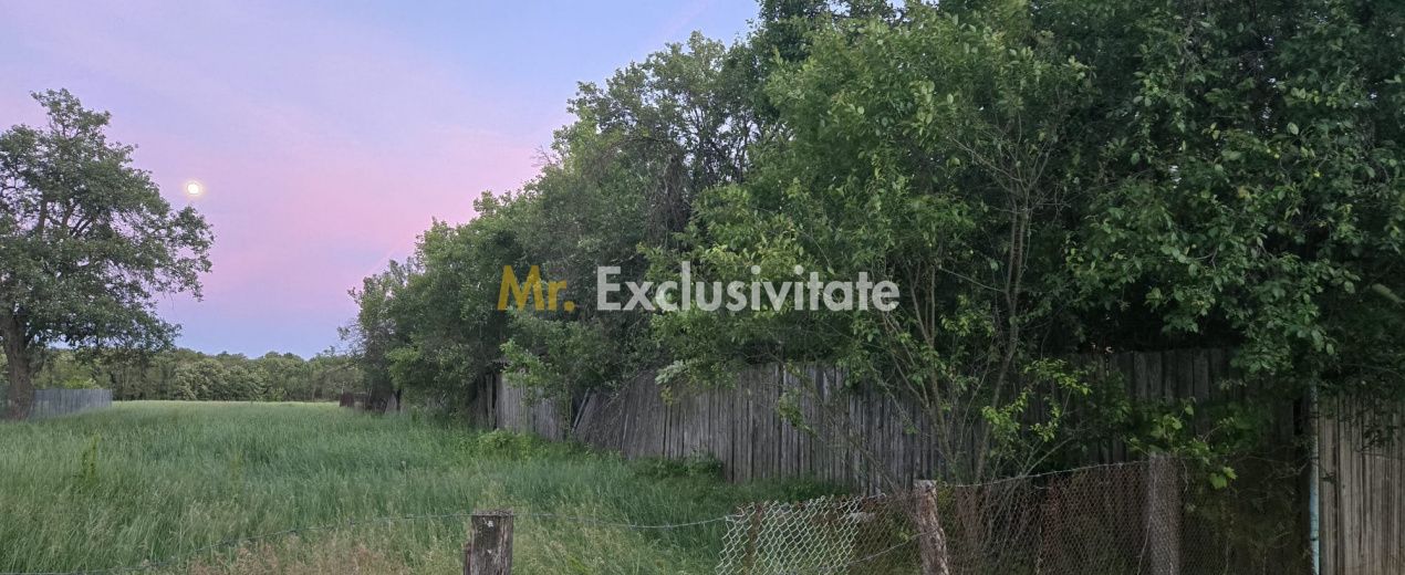 Casă cu 7.769 mp teren și pădure | Budieni | 53.000€ — fotografia 4