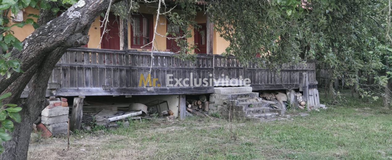 Casă cu 7.769 mp teren și pădure | Budieni | 53.000€ — fotografia 5