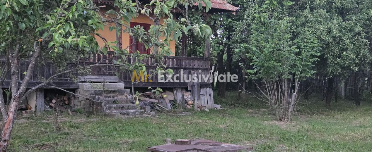 Casă cu 7.769 mp teren și pădure | Budieni | 53.000€ — fotografia 6