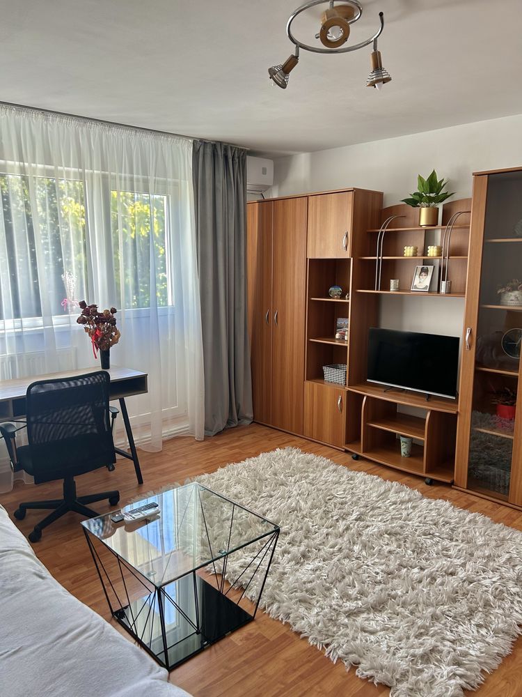 Apartament 2 camere in Brazda lui Novac — fotografia 4