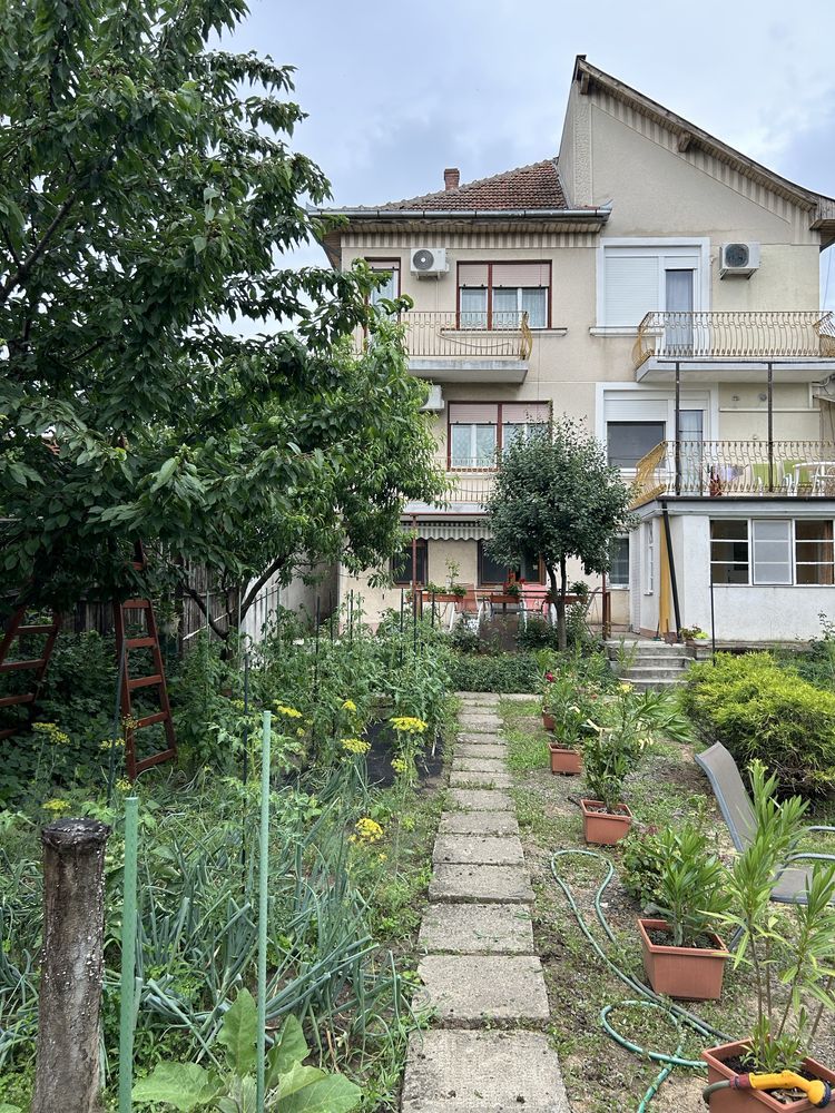 BRASADAS vinde casa pe strada Paris. — fotografia 5