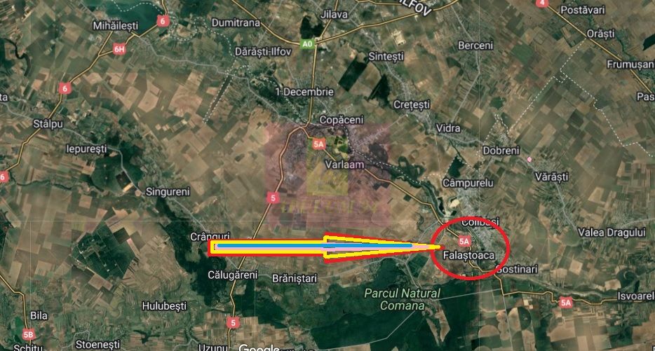 Hală producție Ambalaje Carton și casă locuibilă la 25km de București — fotografia 4