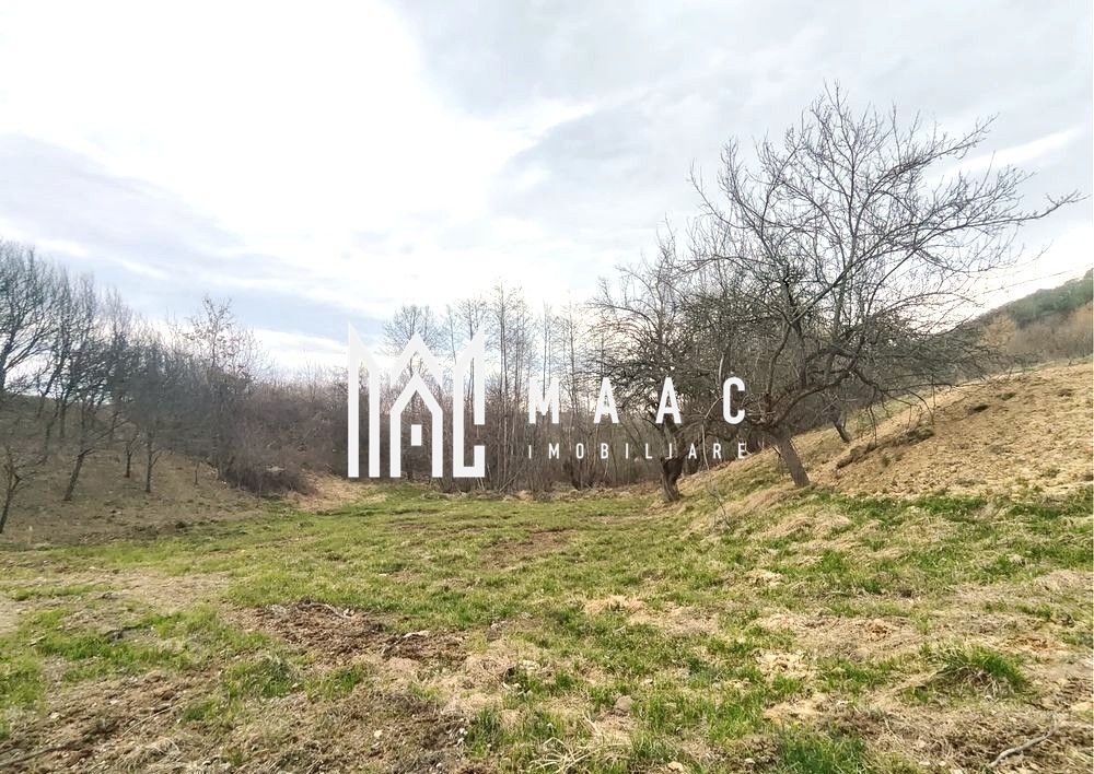 Teren extravilan agricol 1.184 mp | Sibiel | utilități la 100 m — fotografia 4