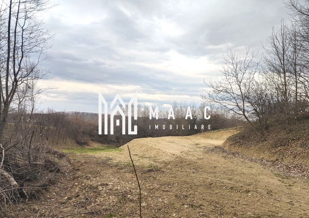 Teren extravilan agricol 1.184 mp | Sibiel | utilități la 100 m — fotografia 7