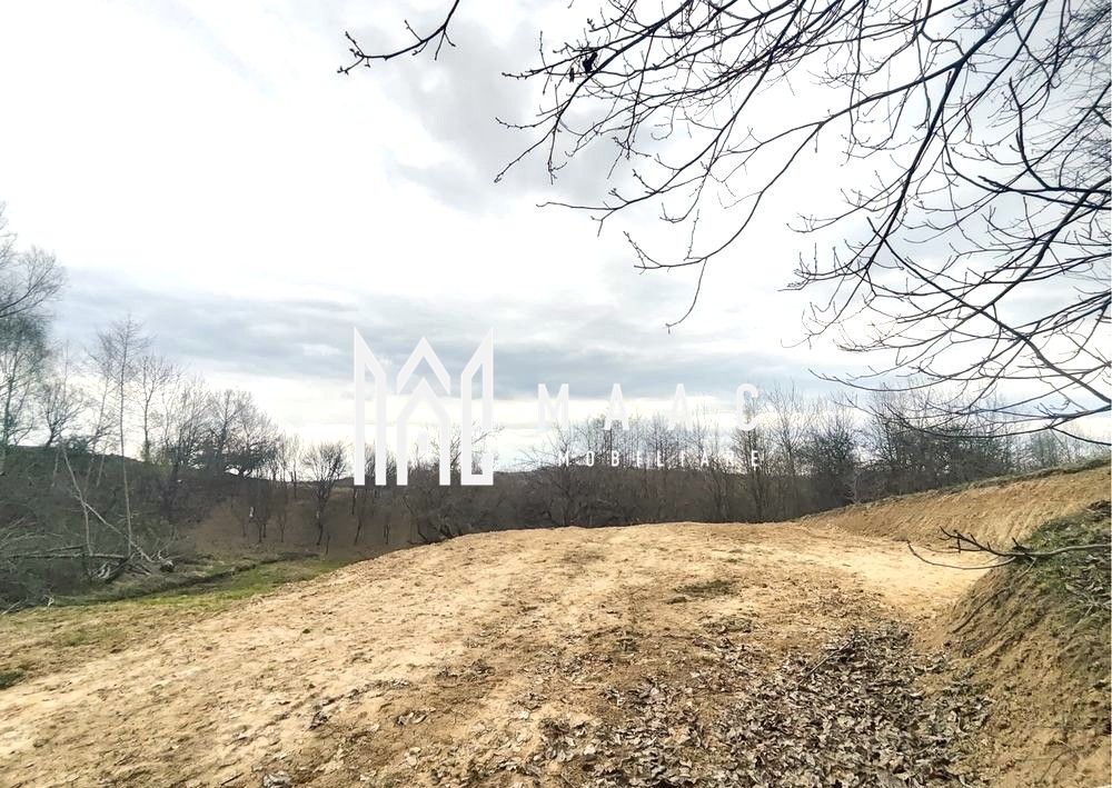 Teren extravilan agricol 1.184 mp | Sibiel | utilități la 100 m — fotografia 8