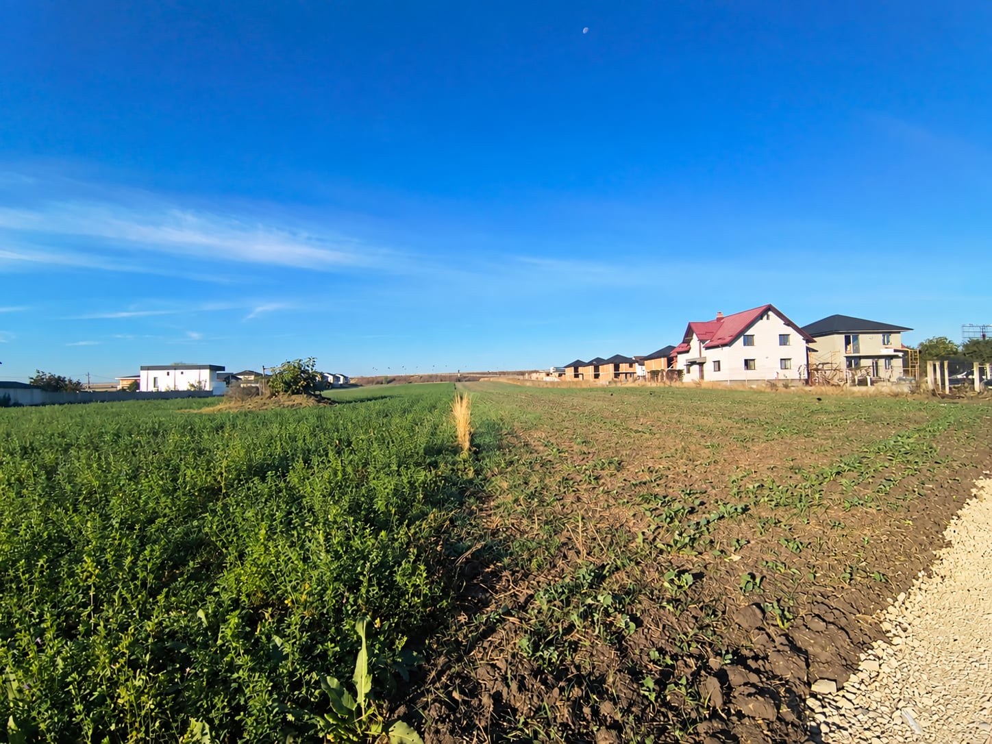 Teren intravilan 9.061 mp – Str. Humorului, Suceava — fotografia 3