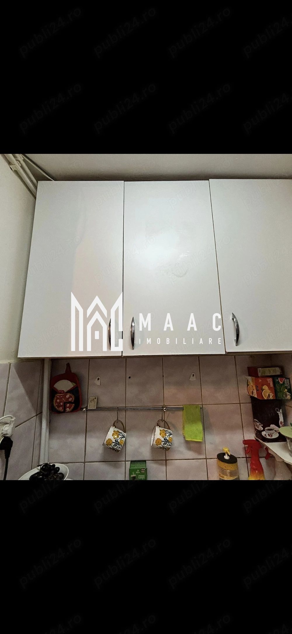 Apartament 1 Camera I Parter I Pretabil Spatiu comercial I Terezian — fotografia 5