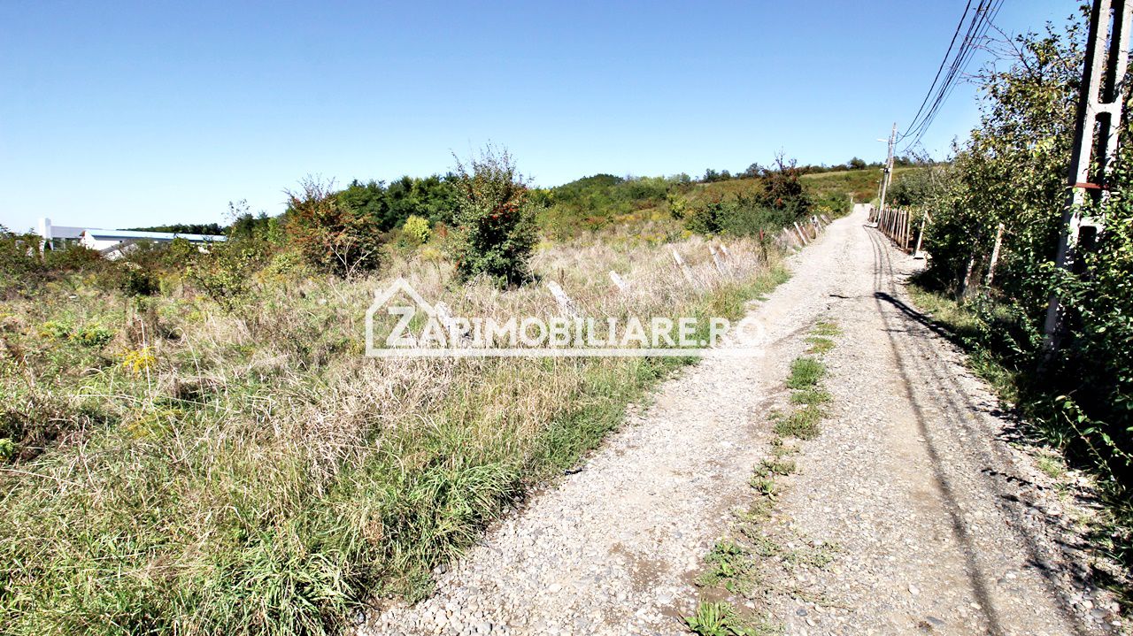 Teren intravilan 16.500mp 55euro mp deschidere de 82m la E60 — fotografia 3