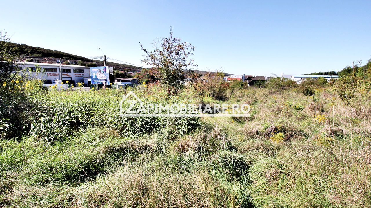 Teren intravilan 16.500mp 55euro mp deschidere de 82m la E60 — fotografia 5