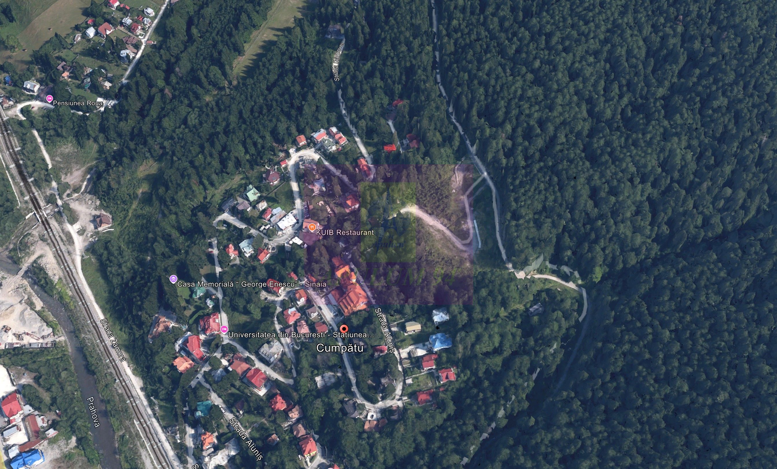 Teren extravilan in Sinaia (25 euro/mp) — fotografia 3