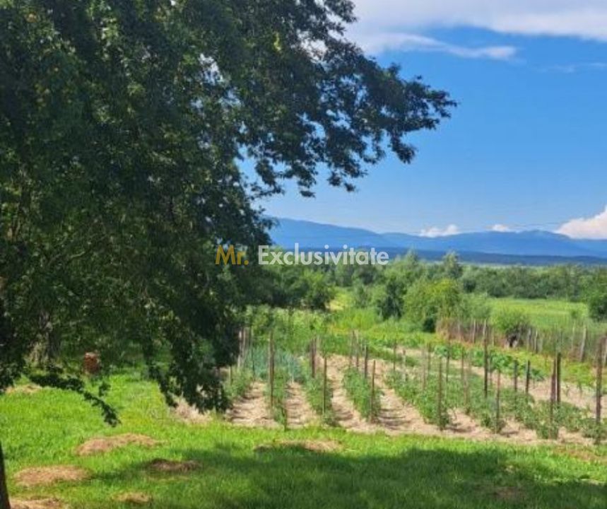 Proprietate cu potențial turistic și agricol | 7.661 mp|Șomanești-GORJ — fotografia 3