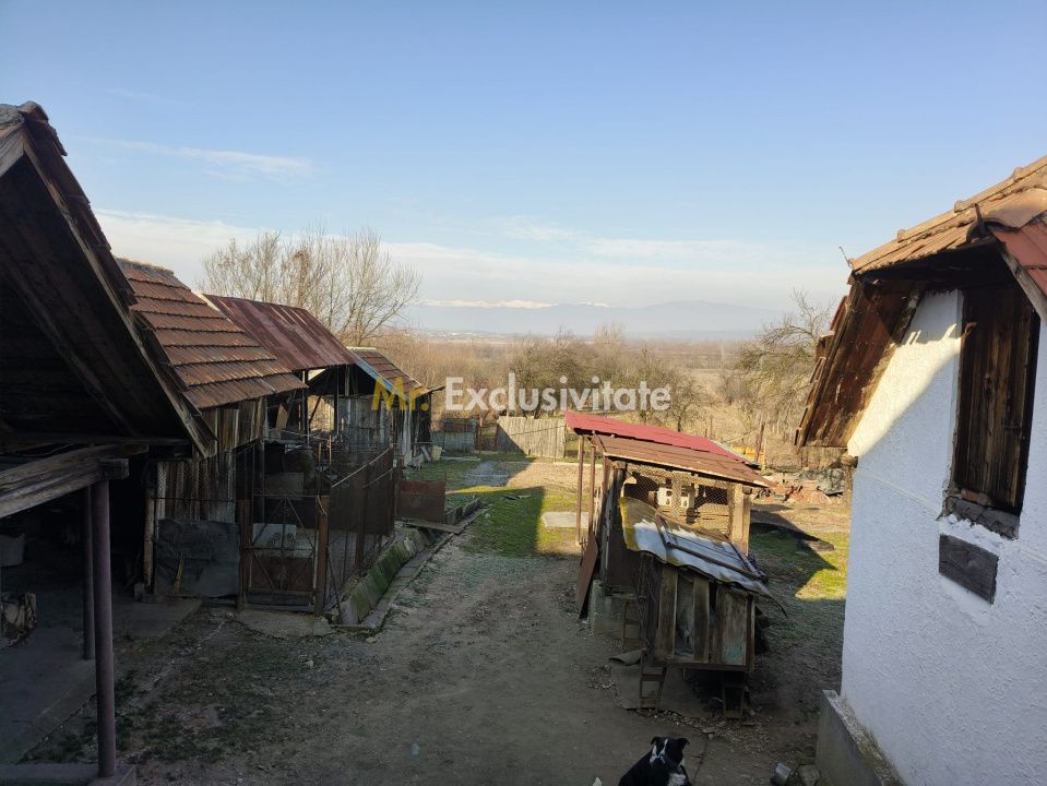 Proprietate cu potențial turistic și agricol | 7.661 mp|Șomanești-GORJ — fotografia 6