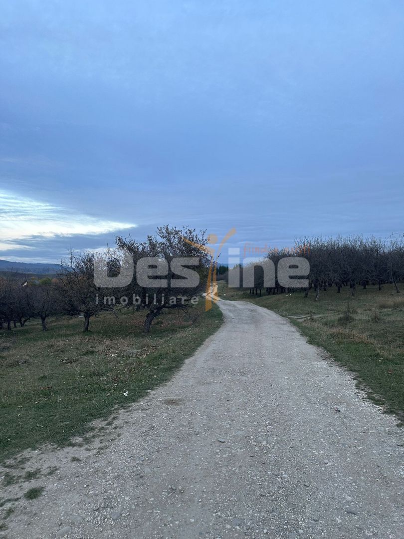 Teren de Vânzare – 34.485 mp | Câmpulung Muscel | Vedere Panoramică — fotografia 7