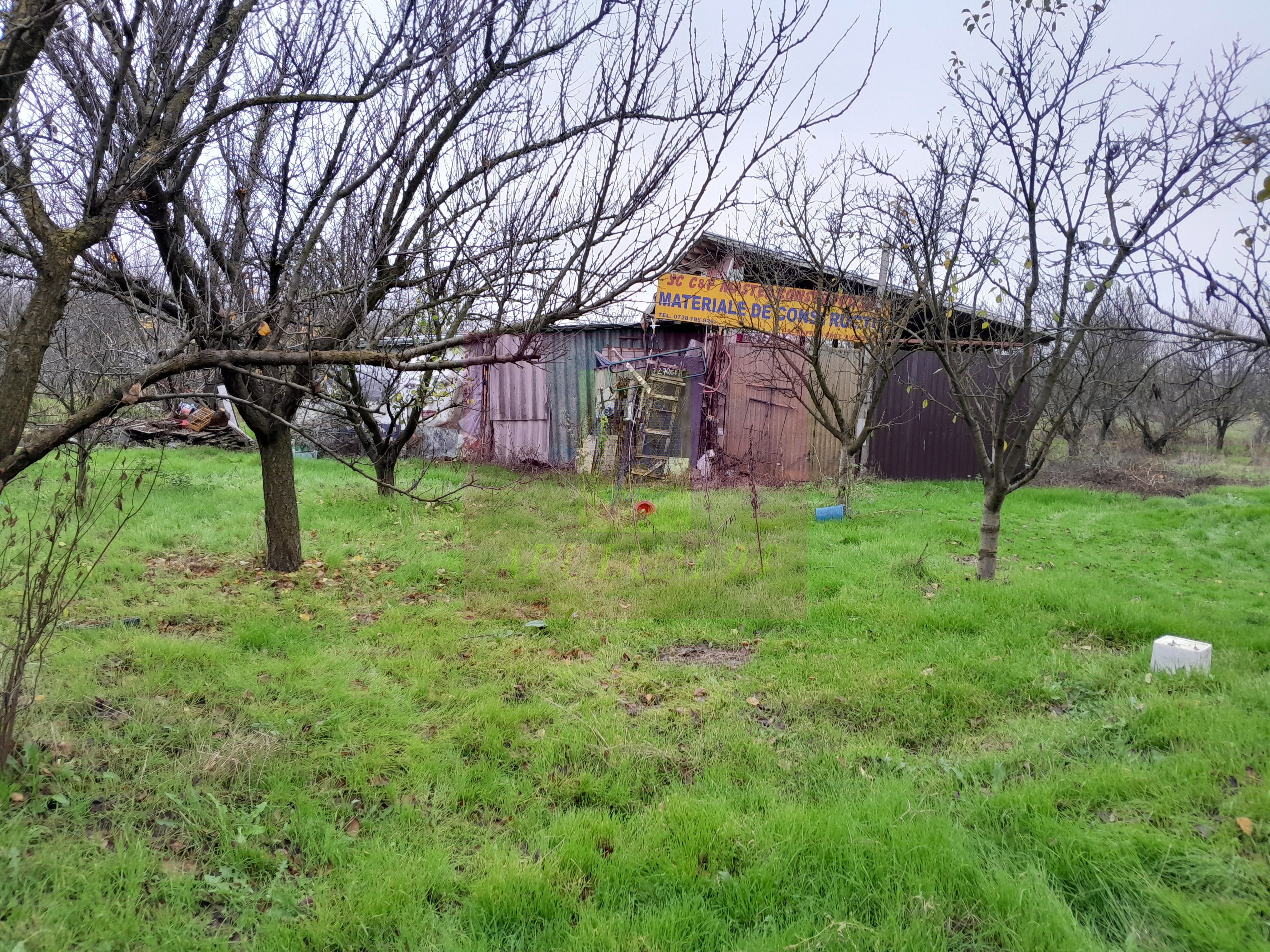 BARCANESTI (IL) - SE VINDE CASA + TEREN 16K MP — fotografia 4