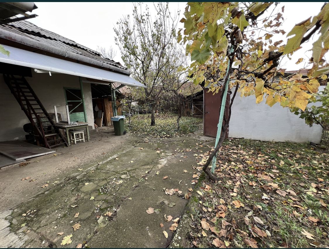 Casa de vanzare in Tasnad, SM oportunitate de investitie — fotografia 6