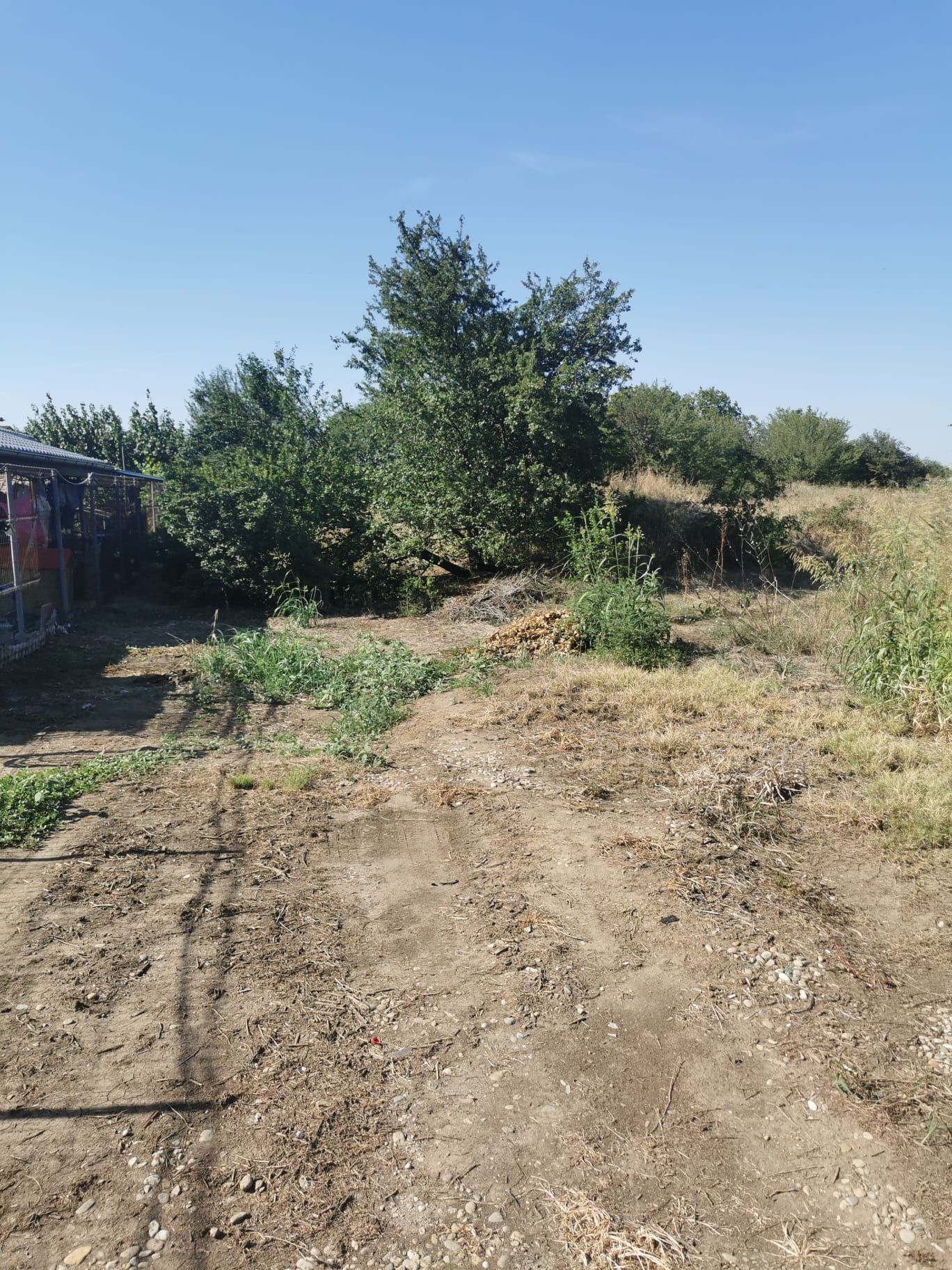 Vand teren cu suprafata de 2815 mp in Bragadiru deschidere 60 ml! — fotografia 5
