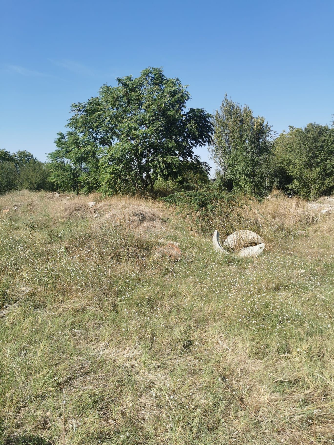 Vand teren cu suprafata de 2815 mp in Bragadiru deschidere 60 ml! — fotografia 6