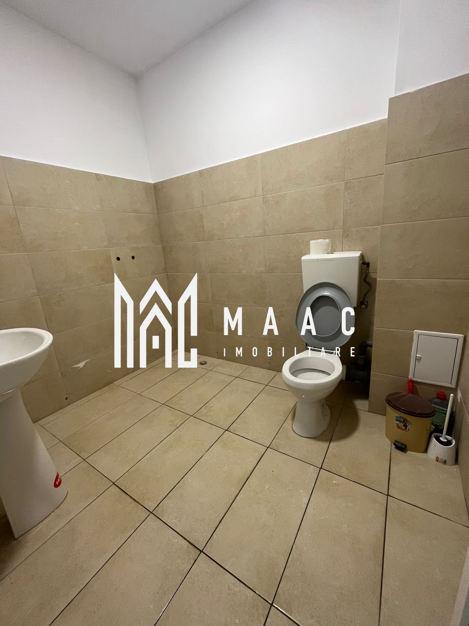 Spatiu comercial/birouri I Parcare I Doamna Stanca — fotografia 4