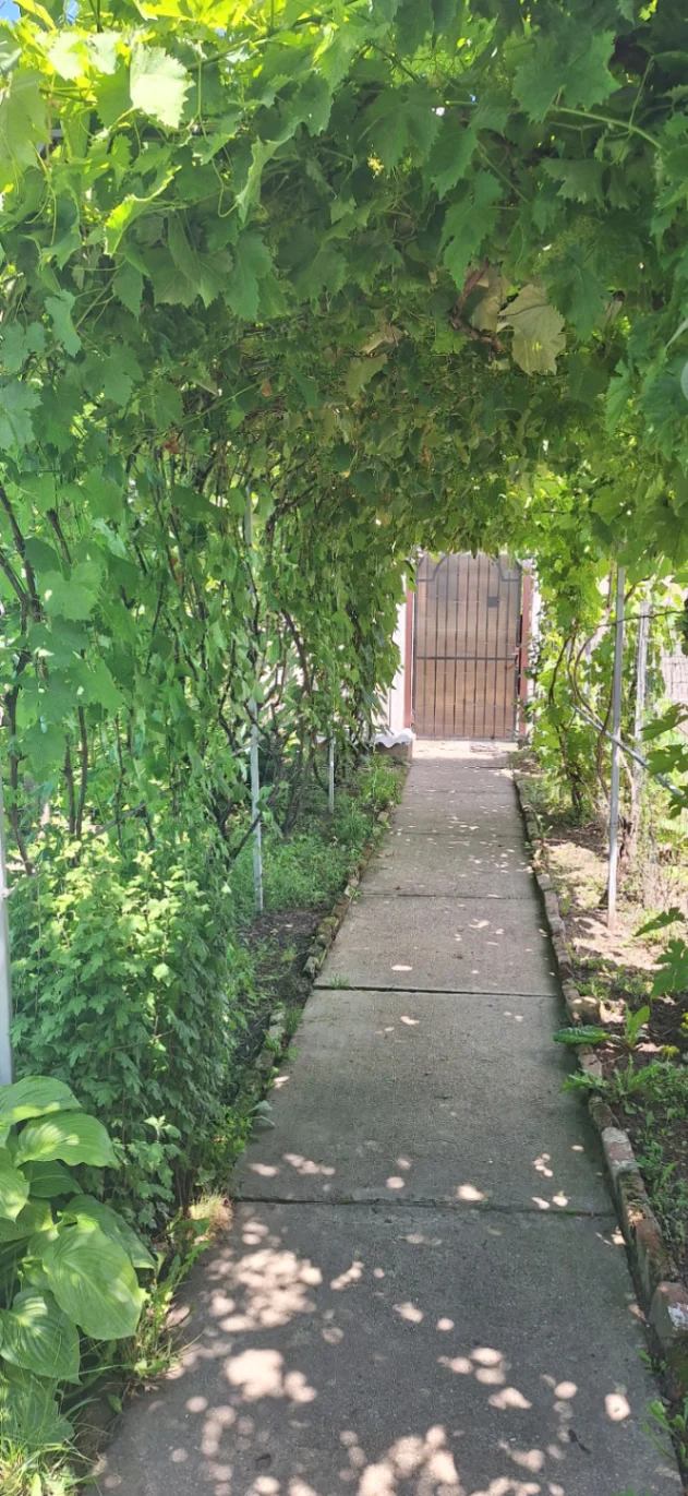 Casă la țară 3 camere de vânzare în Icoana — fotografia 2