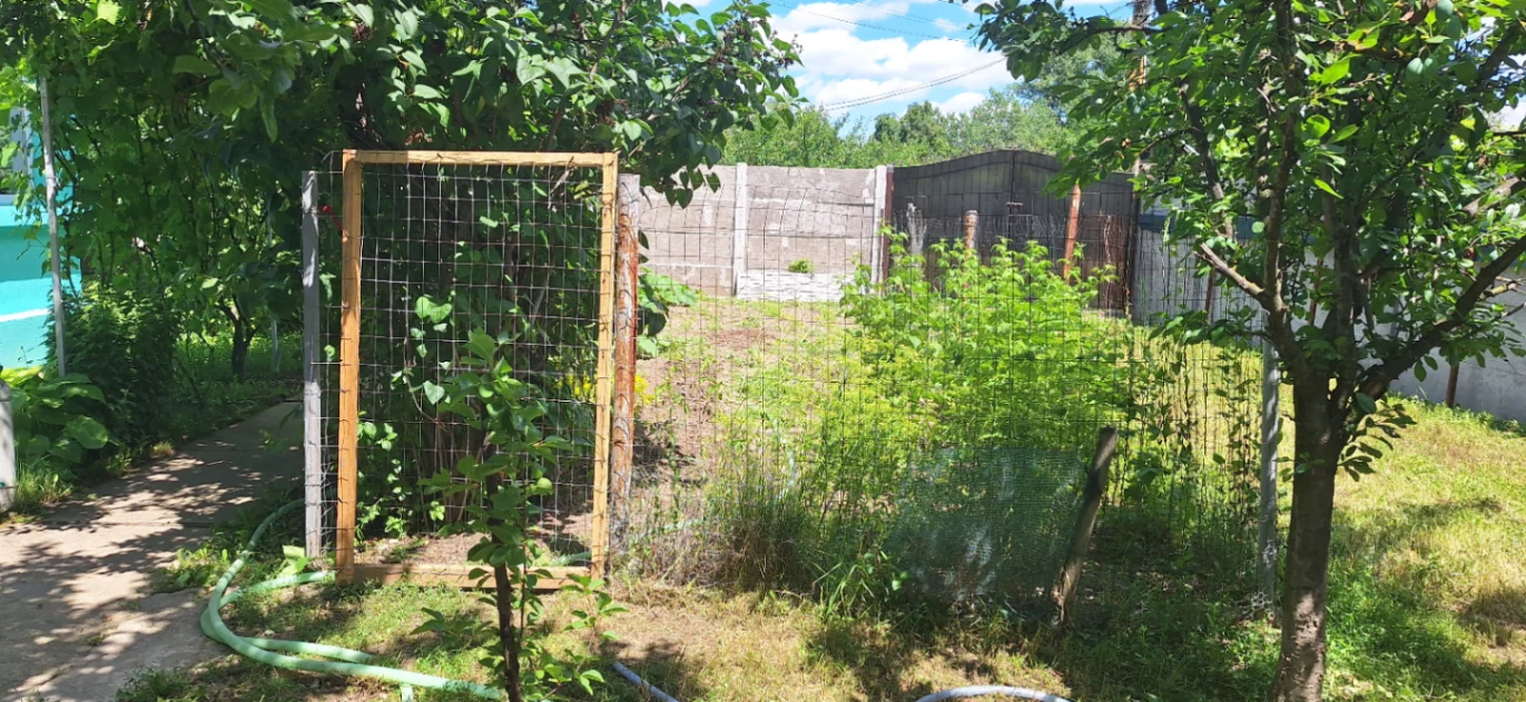 Casă la țară 3 camere de vânzare în Icoana — fotografia 3