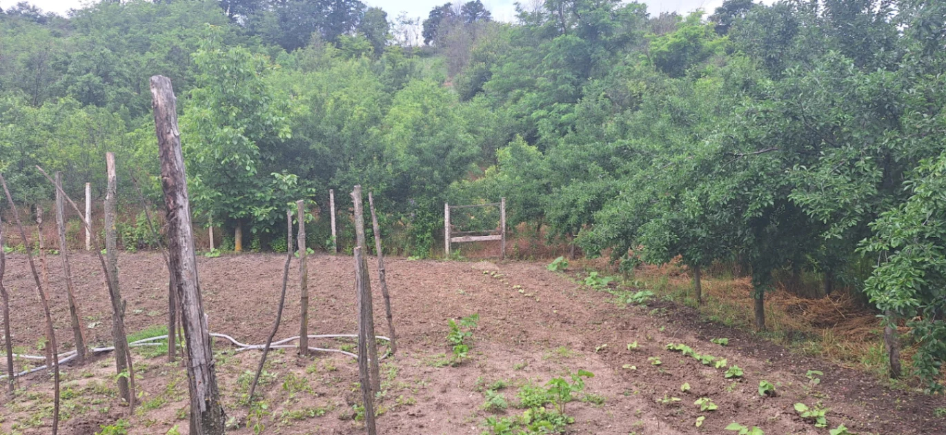 Casă la țară 3 camere de vânzare în Icoana — fotografia 6