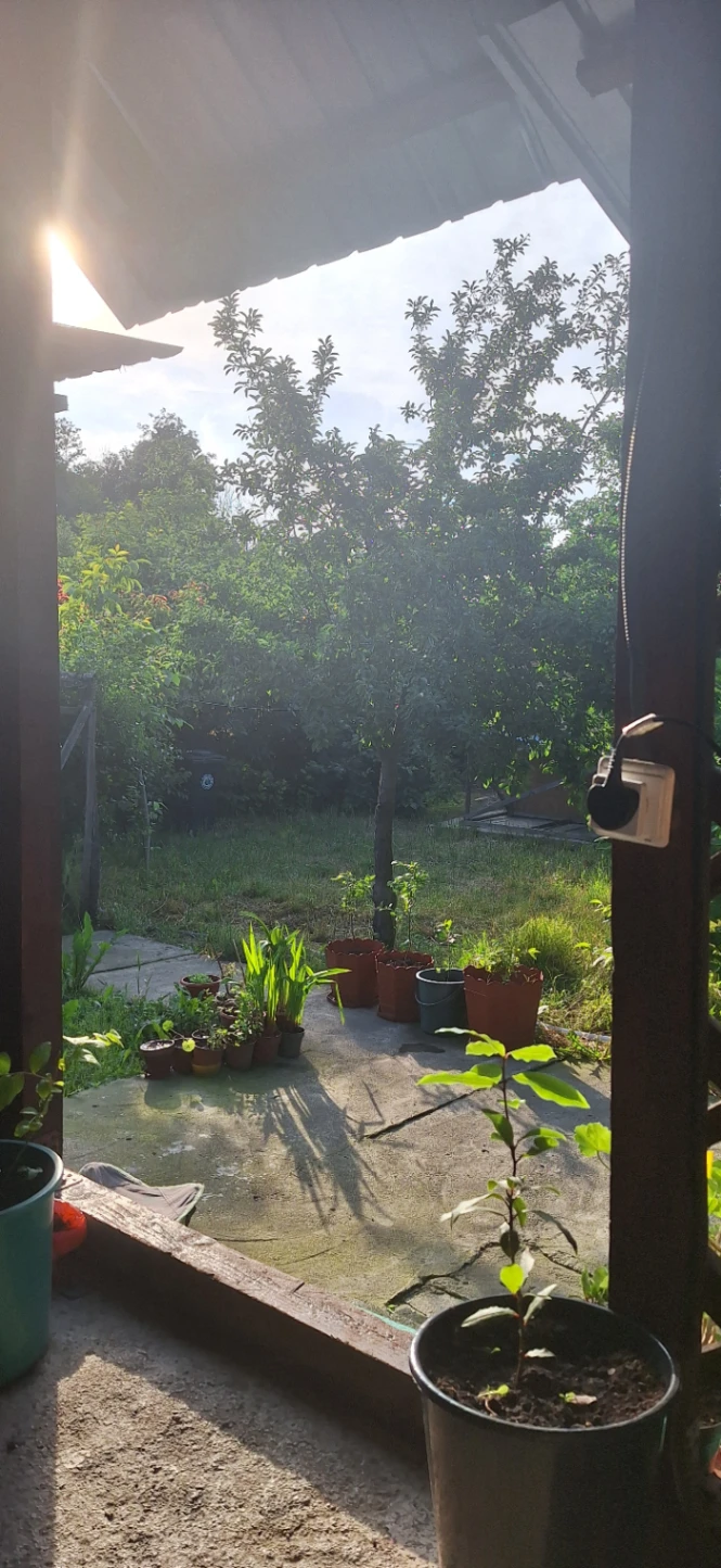 Casă la țară 3 camere de vânzare în Icoana — fotografia 7