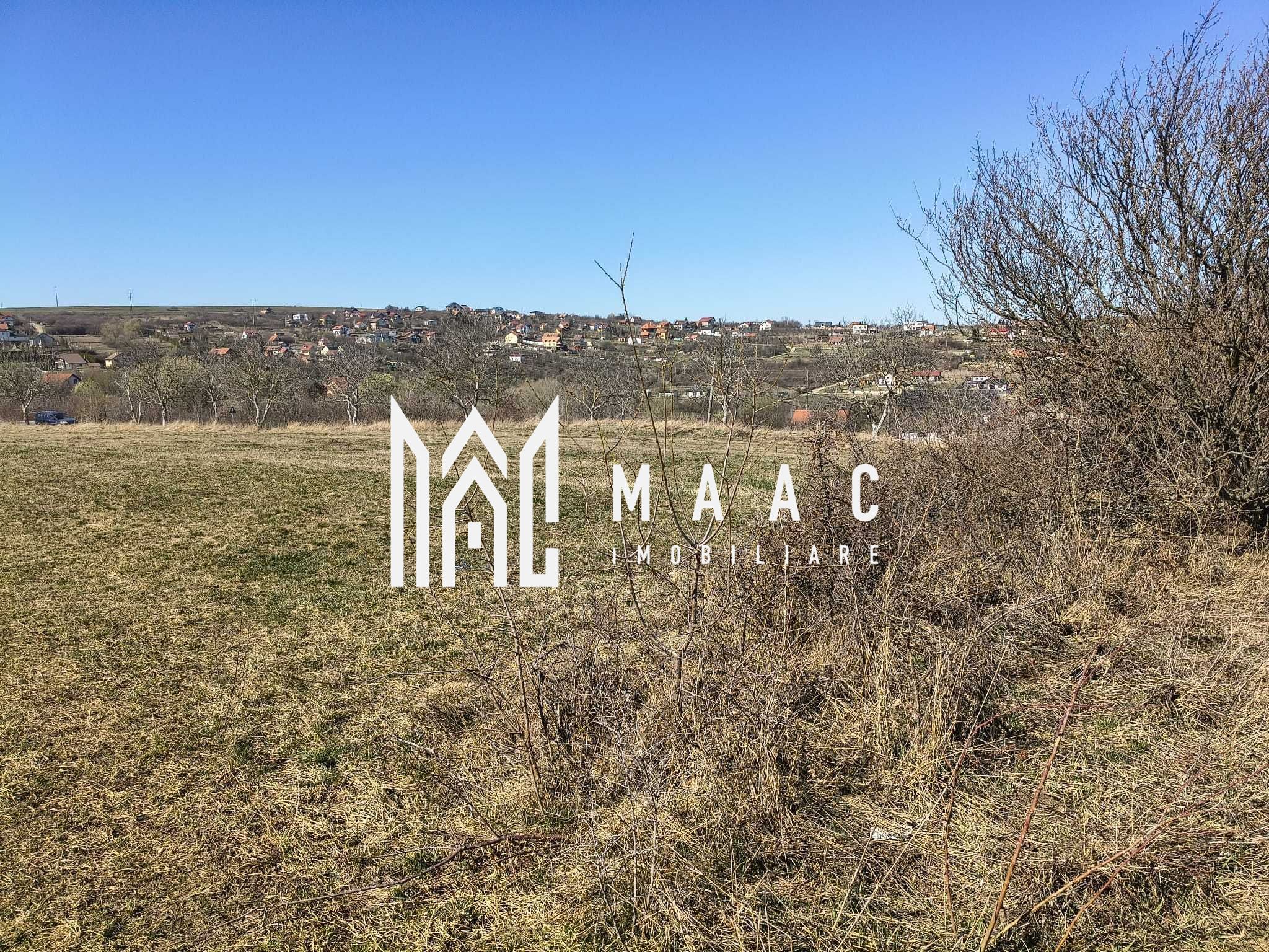 Teren | Intravilan | 400 MPU | Daia — fotografia 5