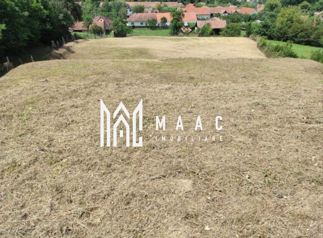 Teren intravilan | 3860 mp în Sărata | Ideal Pensiune sau Resort — fotografia 3