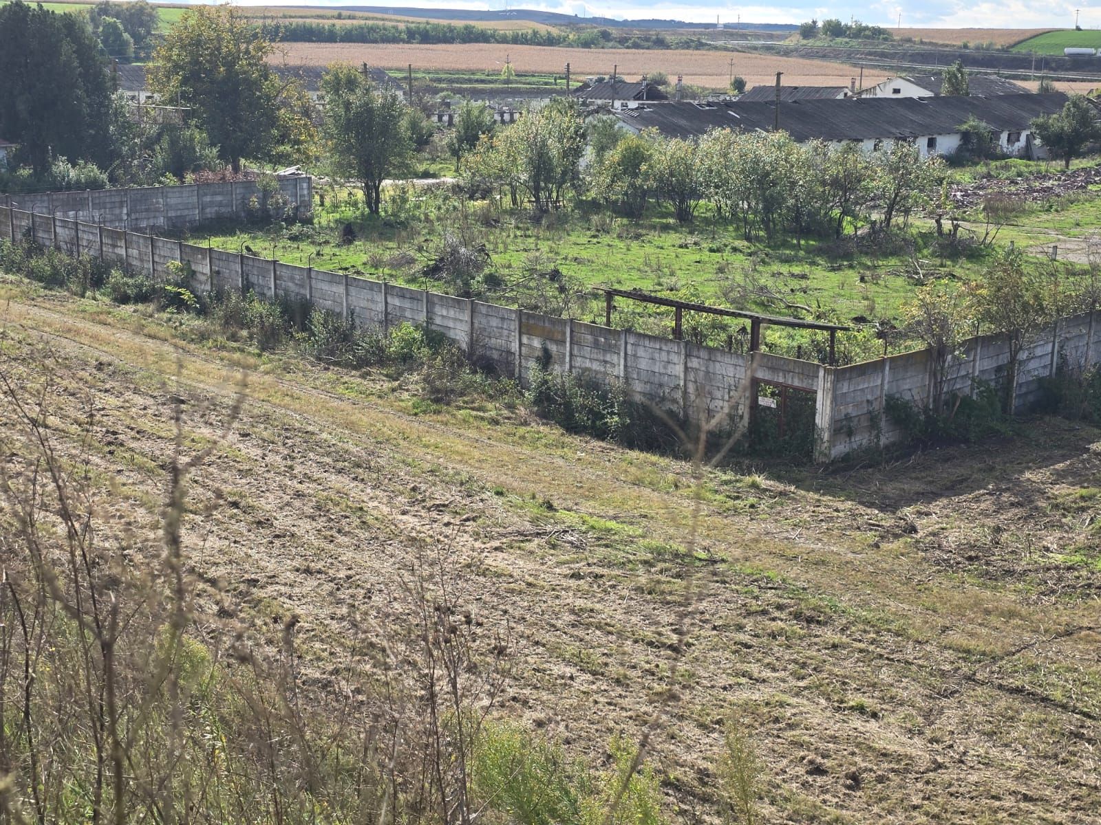 Teren+clădiri 60.000 mp.18 euro mp.deschidere la autostradă, — fotografia 3