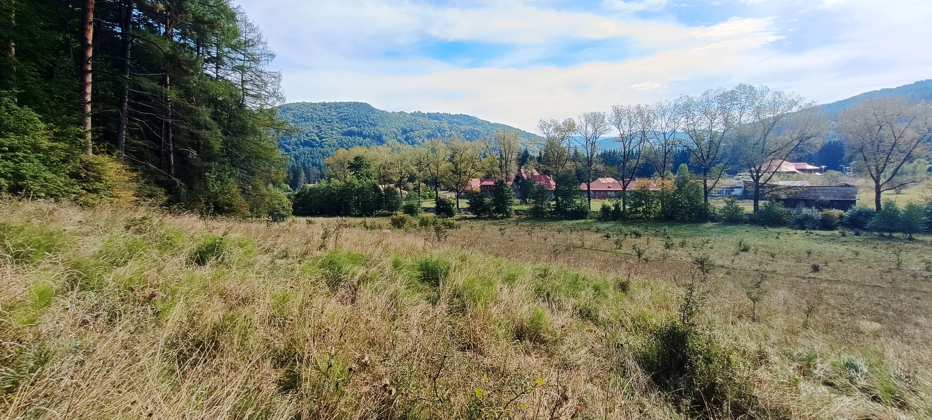 teren in zona Bradet-Sacele — fotografia 3