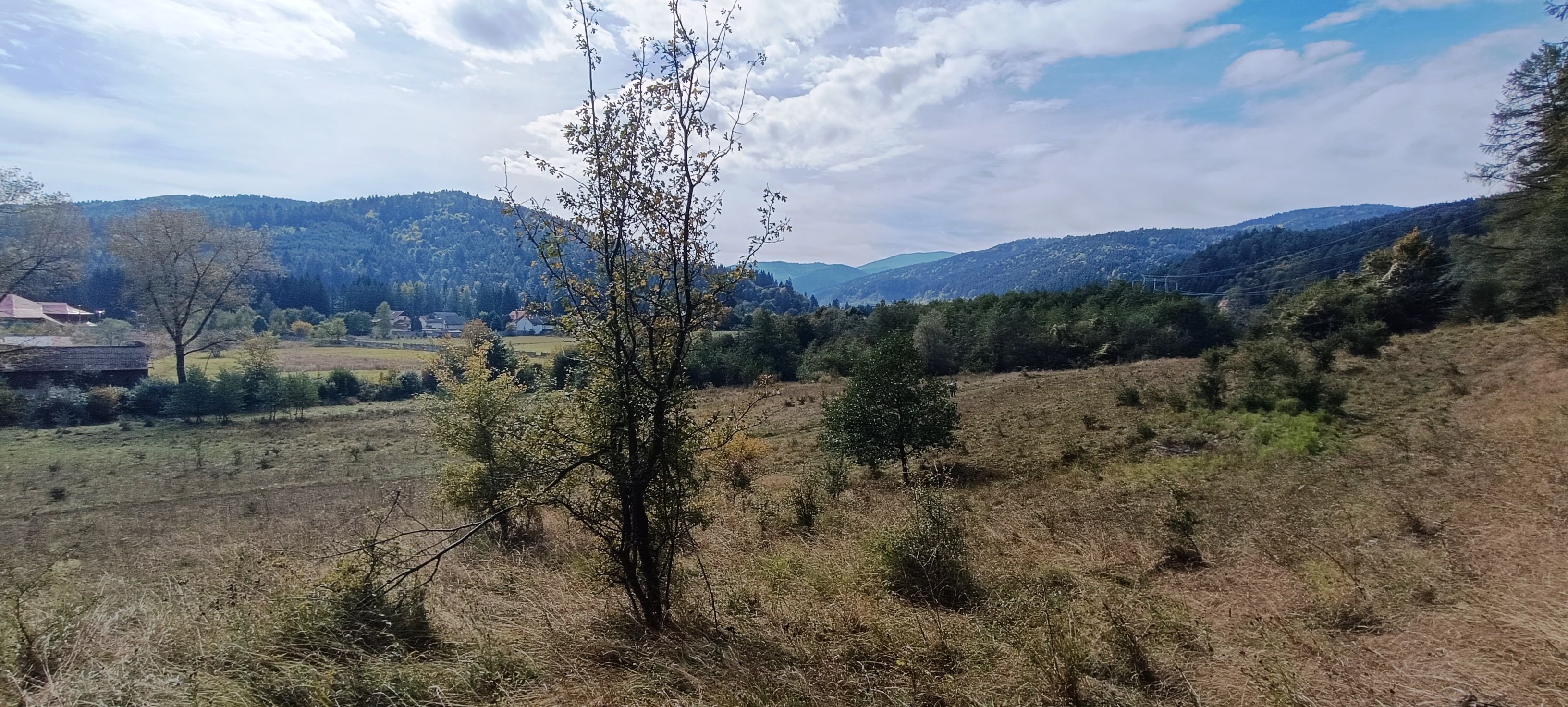 teren in zona Bradet-Sacele — fotografia 7