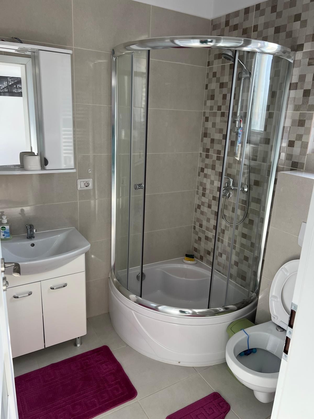Duplex de închiriat în Dumbrăvița – 4 camere, 130 mp, teren 360 mp — fotografia 8
