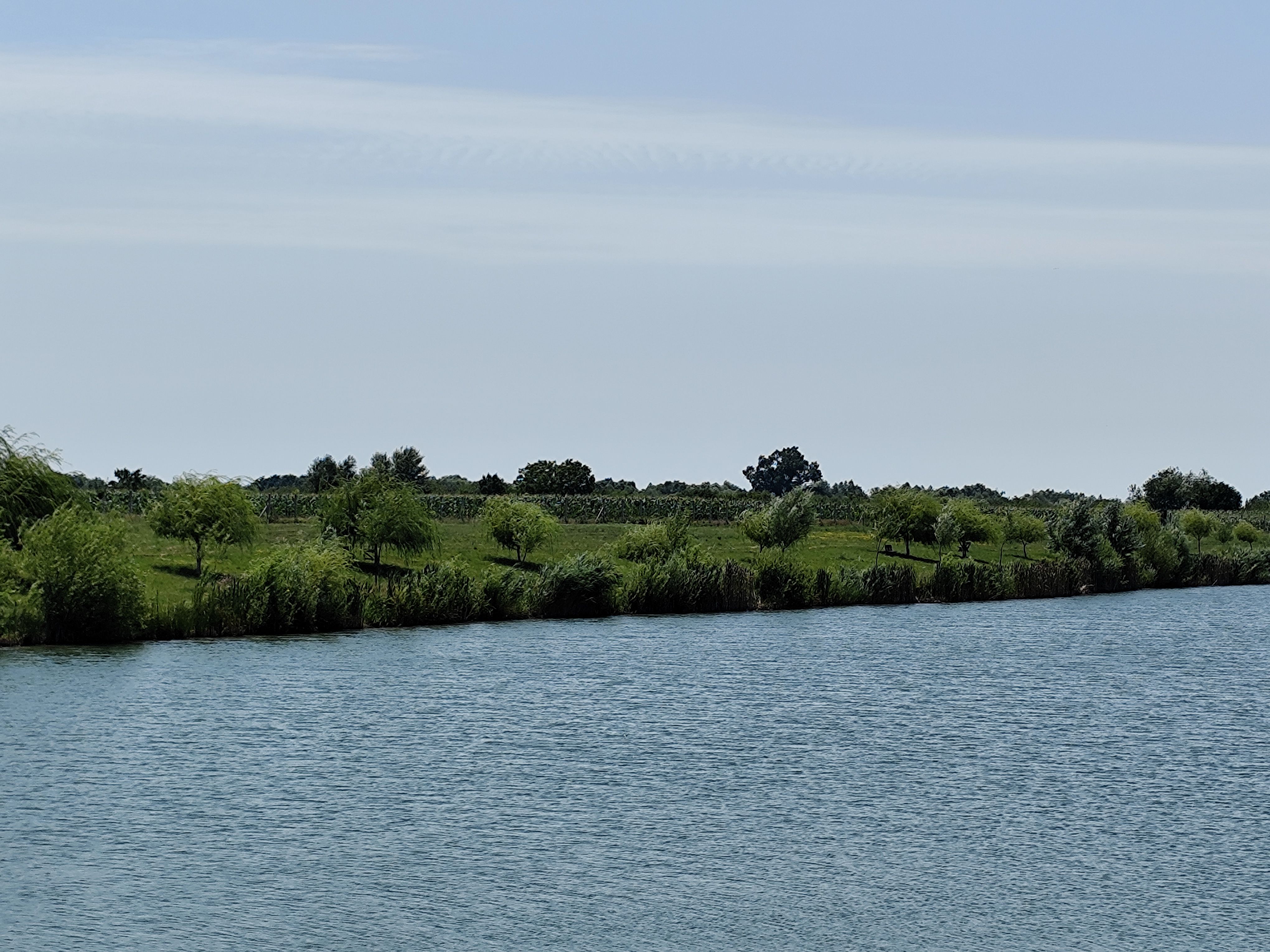Balta de Pescuit, Cabana din Busteni, Teren 6,37 ha, langa Oradea — fotografia 16