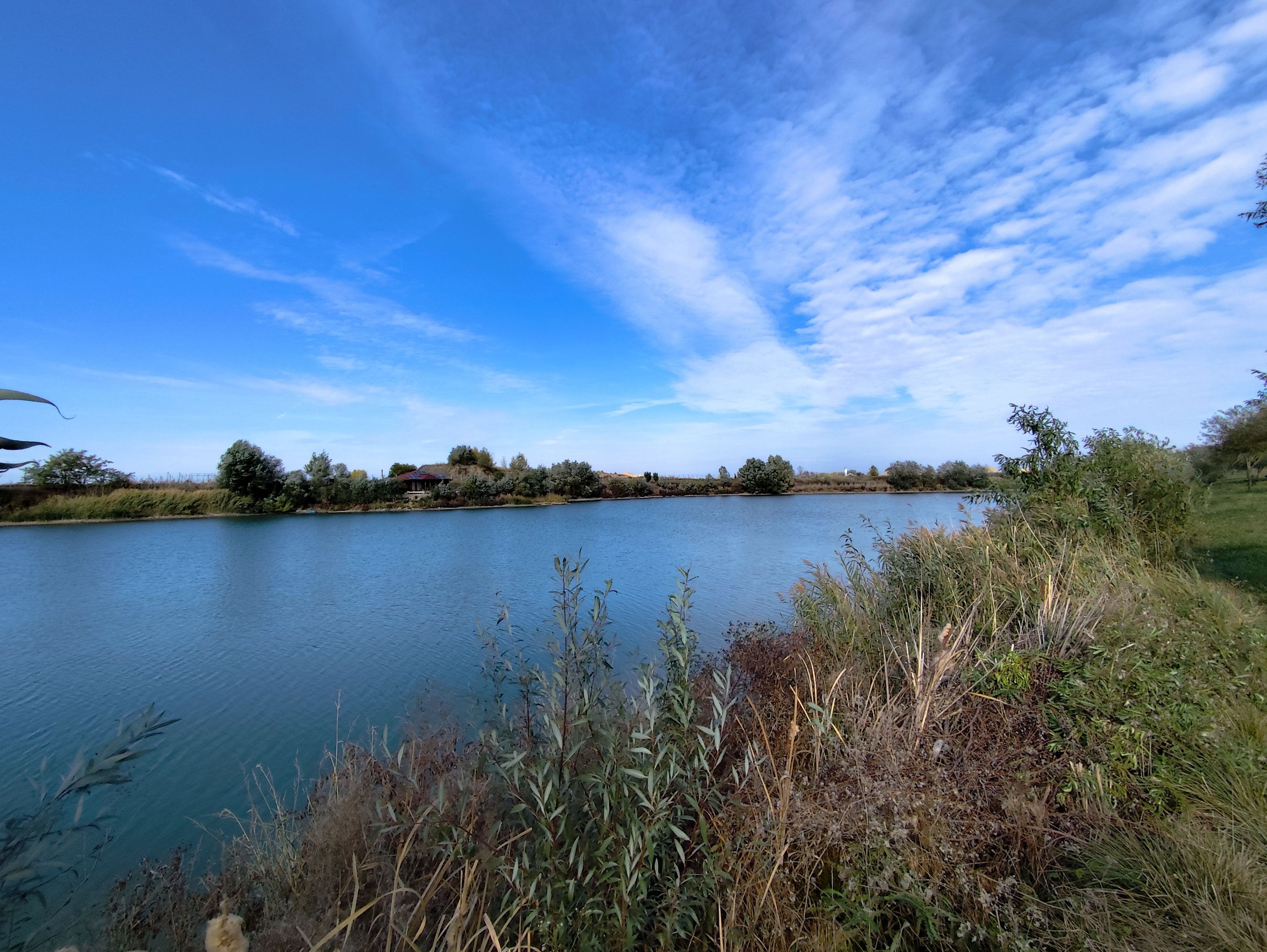 Balta de Pescuit, Cabana din Busteni, Teren 6,37 ha, langa Oradea — fotografia 17