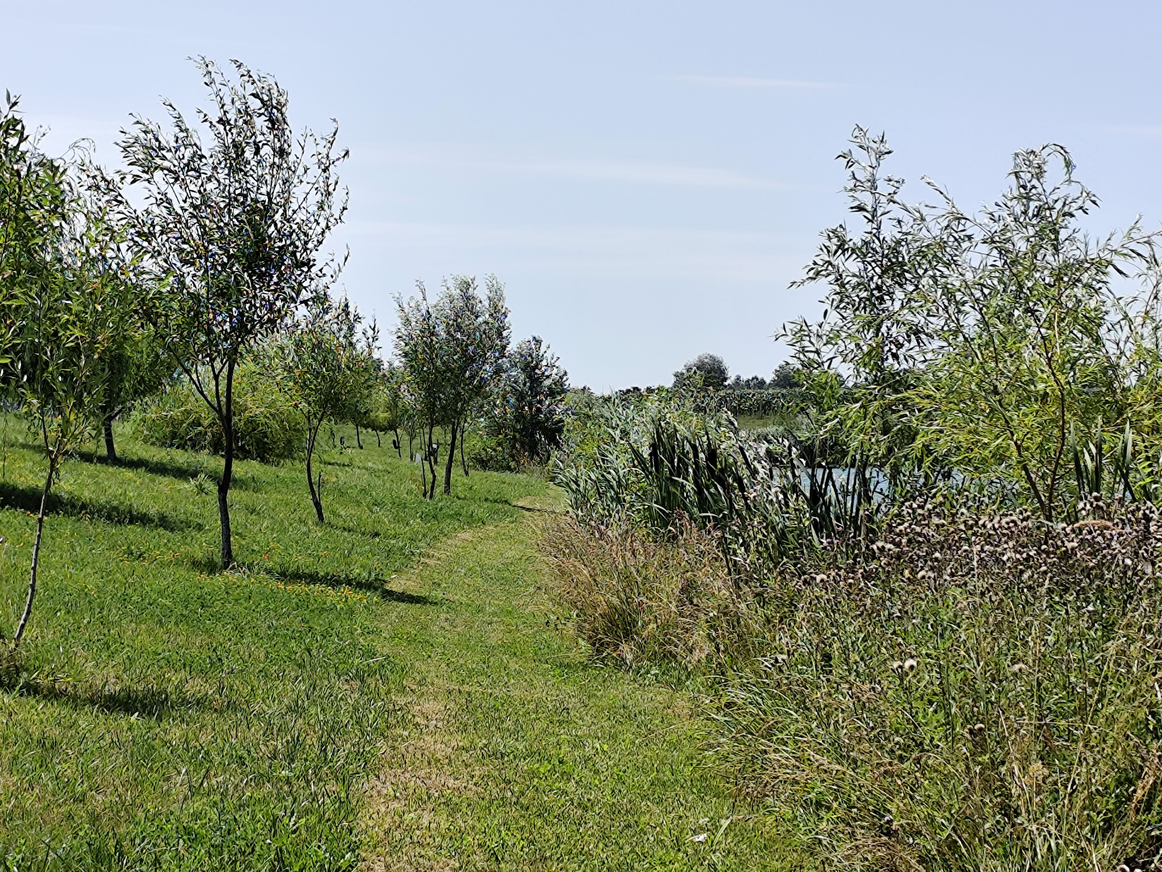 Balta de Pescuit, Cabana din Busteni, Teren 6,37 ha, langa Oradea — fotografia 18
