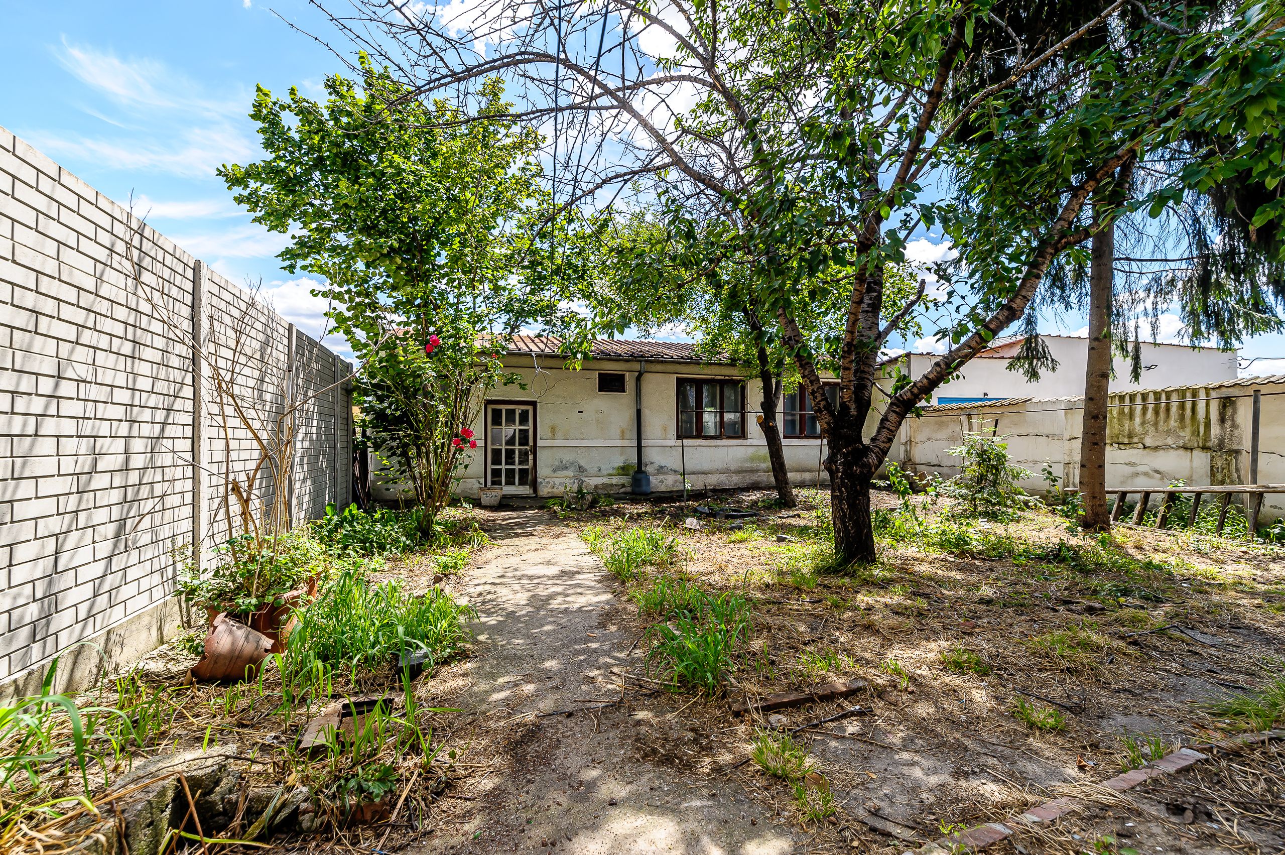 De vânzare teren+casă: 716 mp teren | Pârneava | Str. Dorobanților — fotografia 7