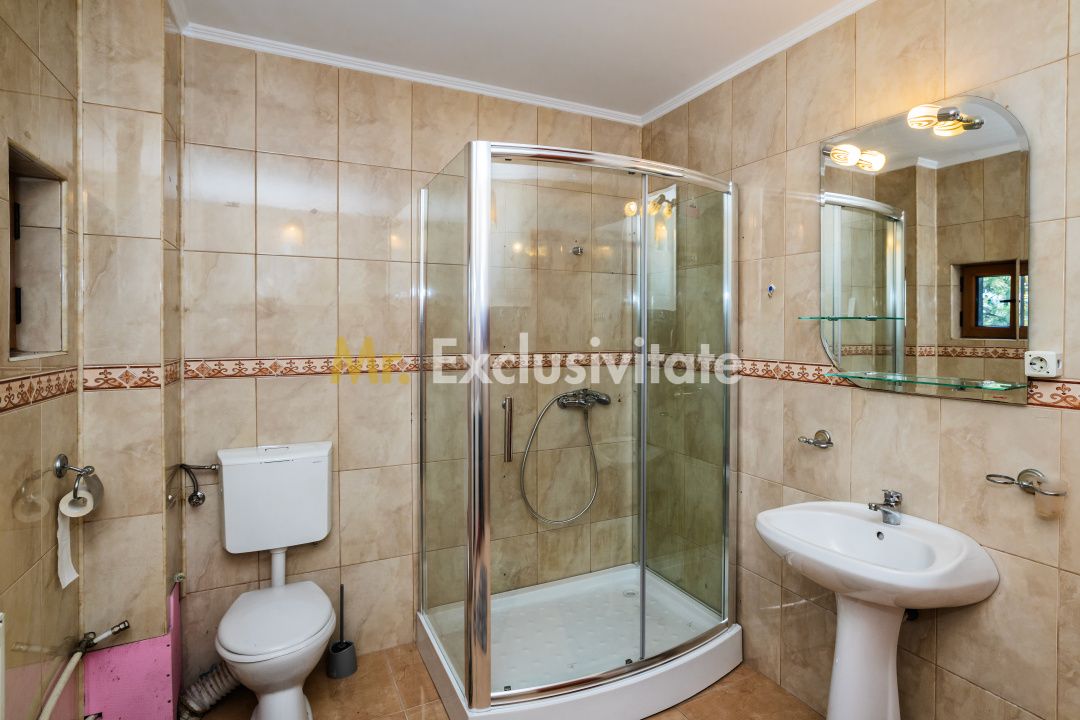 Proprietate premium vis-a-vis de noul Stadion Nicolae Dobrin — fotografia 37